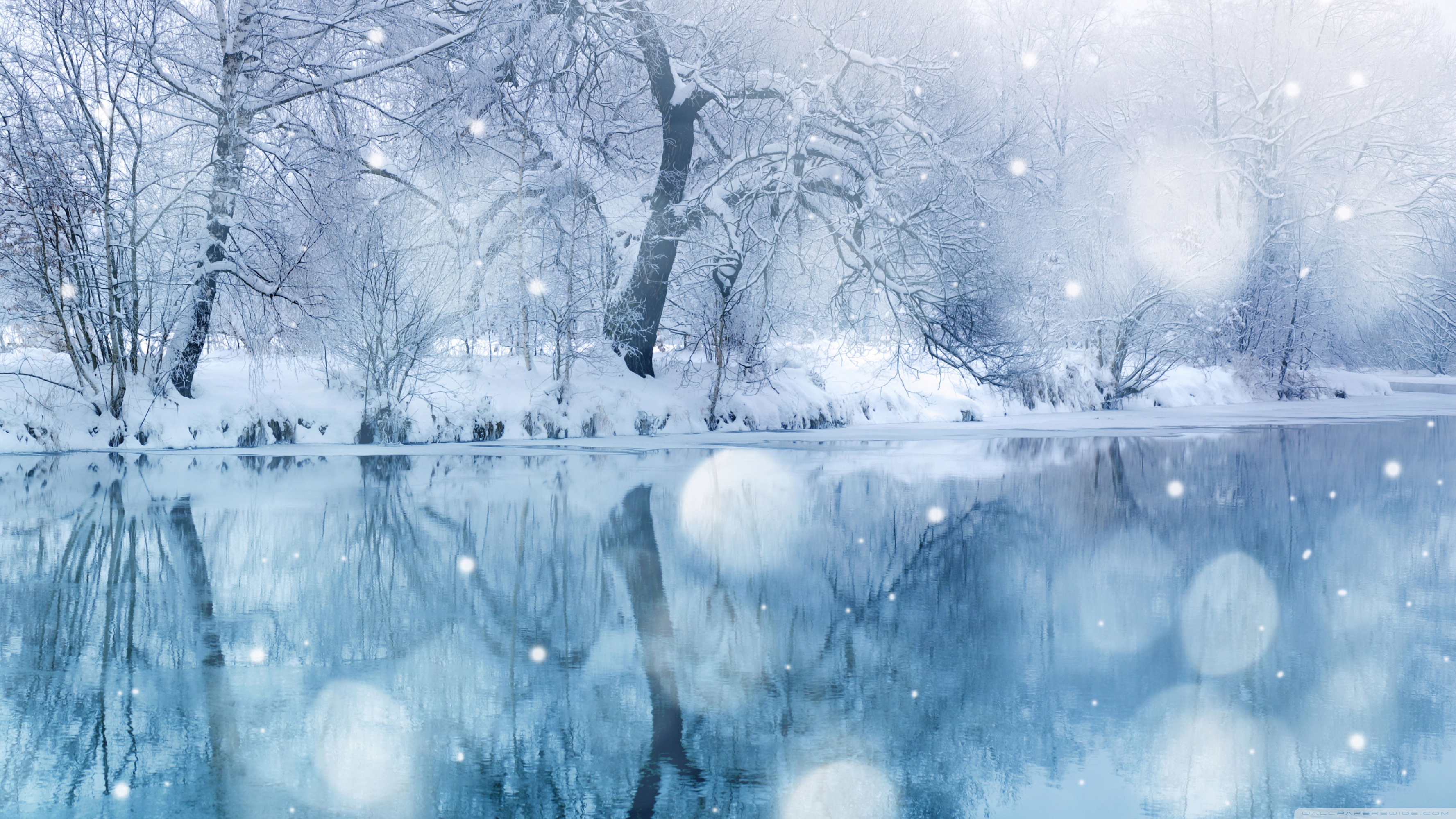 Winter Snowfall Ultra HD Desktop Background Wallpaper for 4K UHD TV, Multi Display, Dual Monitor, Tablet
