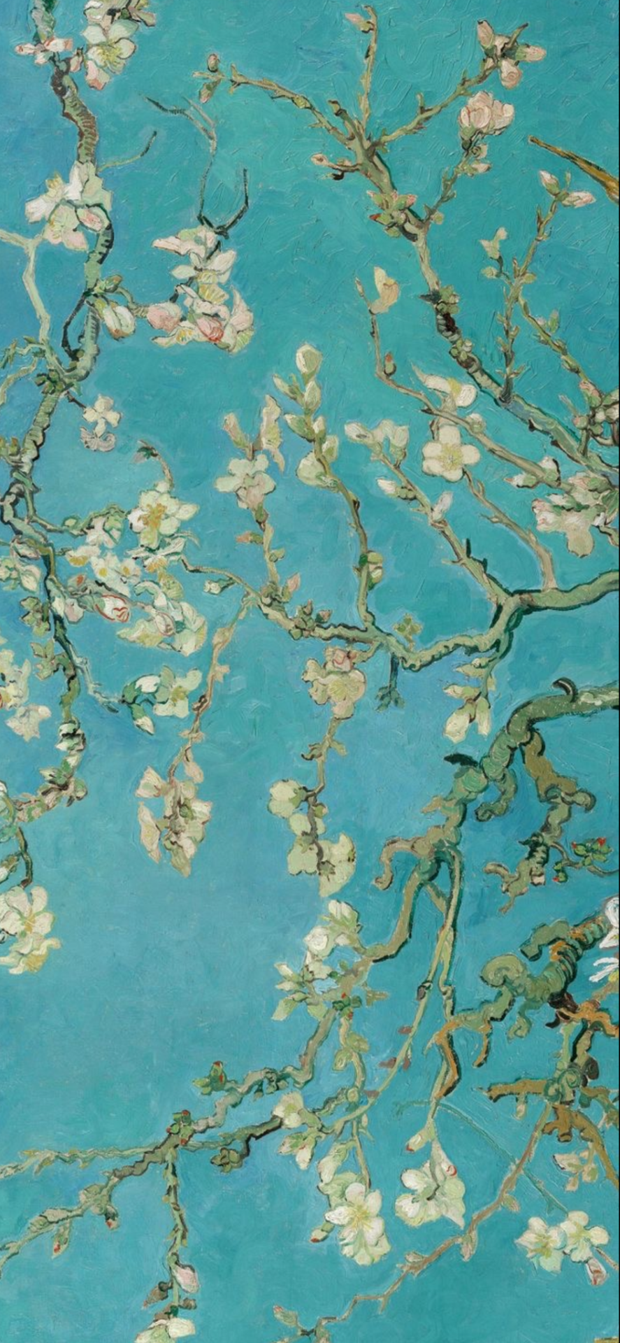 LOCKSCREENS, VINCENT VAN GOGH // REQUESTED