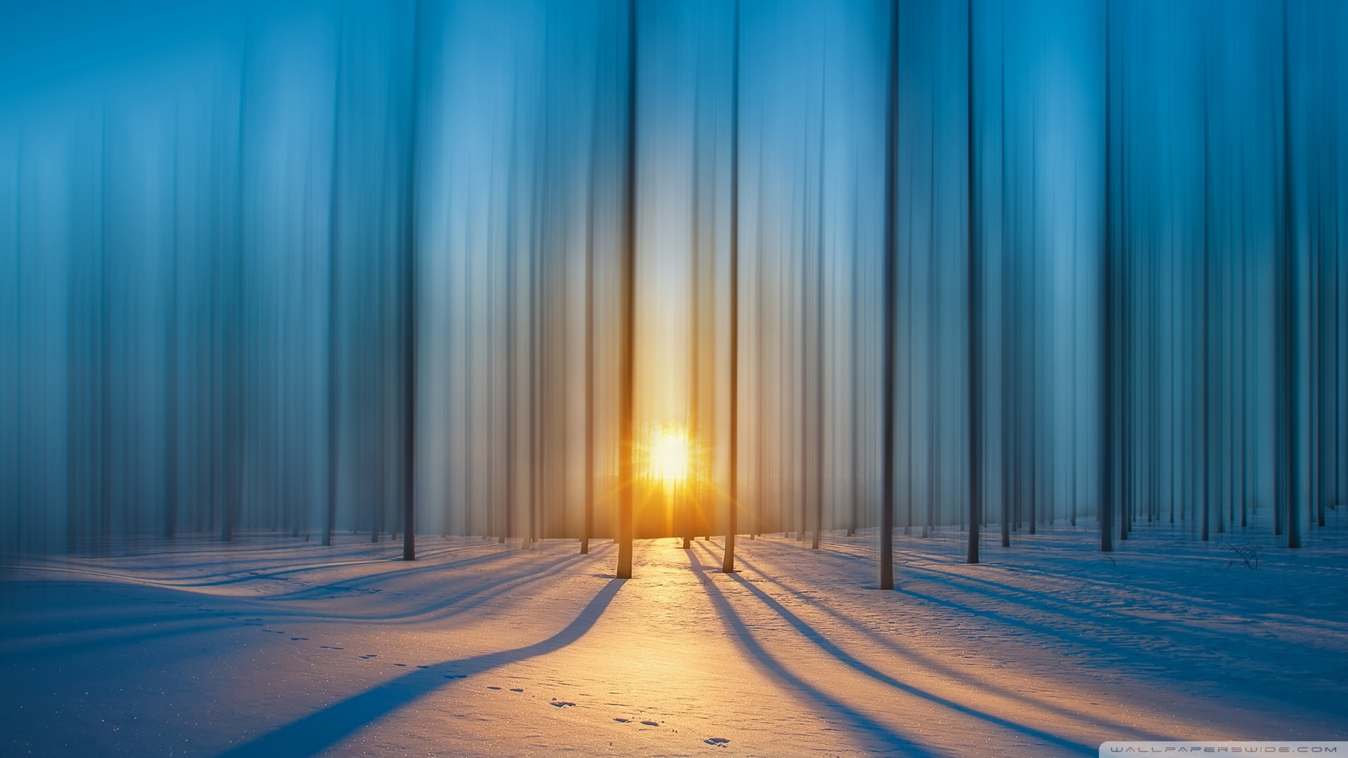 Winter Sunset Ultra HD Desktop Background Wallpaper for 4K UHD TV, Widescreen & UltraWide Desktop & Laptop, Tablet