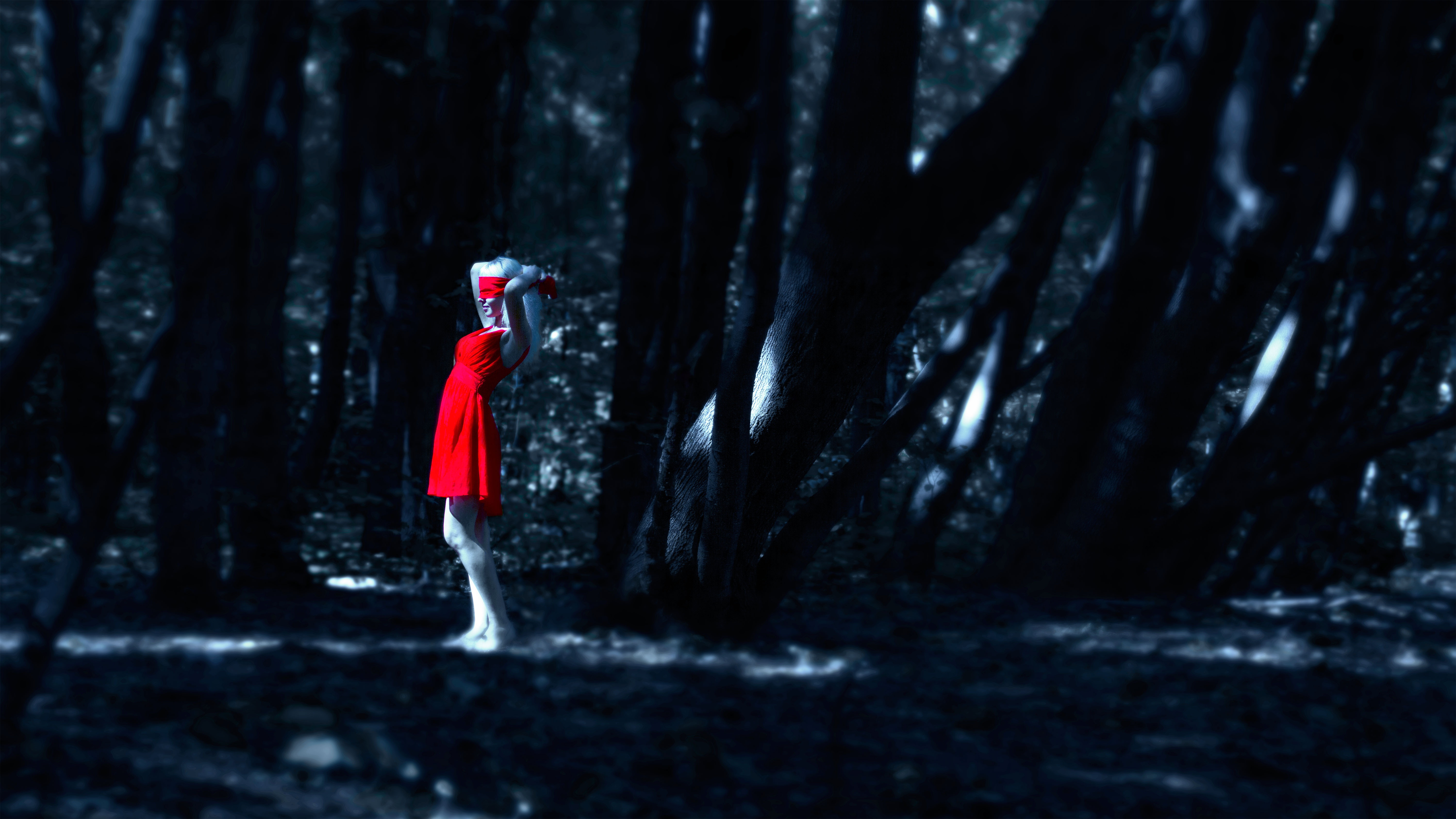Free Image, tree, snow, winter, light, darkness, stroll, trees, outdoors, girls, beautiful, habitat, screenshot, dark forest, the girl in the red dress in the forest, natural environment, computer wallpaper, geological phenomenon