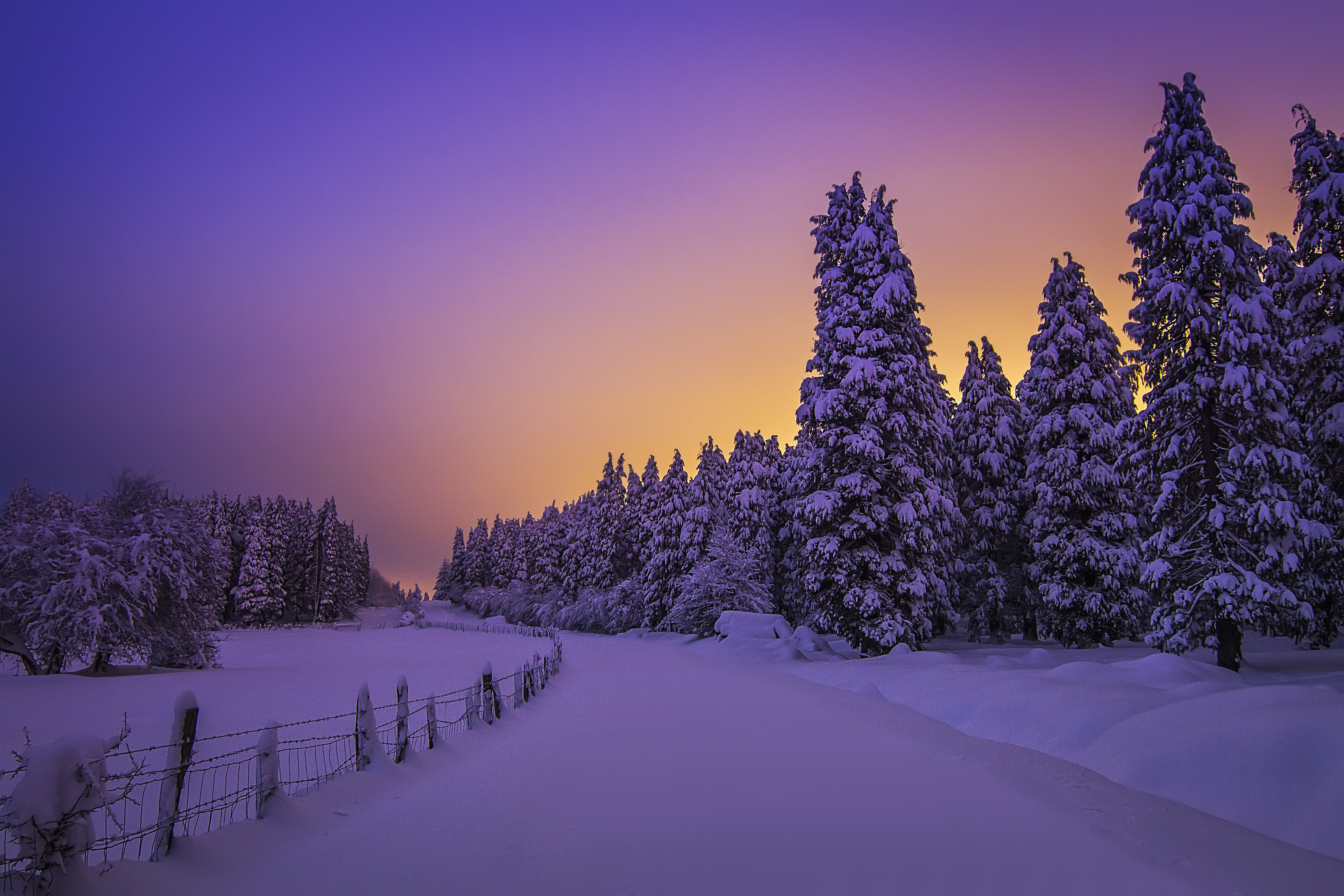 Landscape Wallpaper 4K, Purple sky