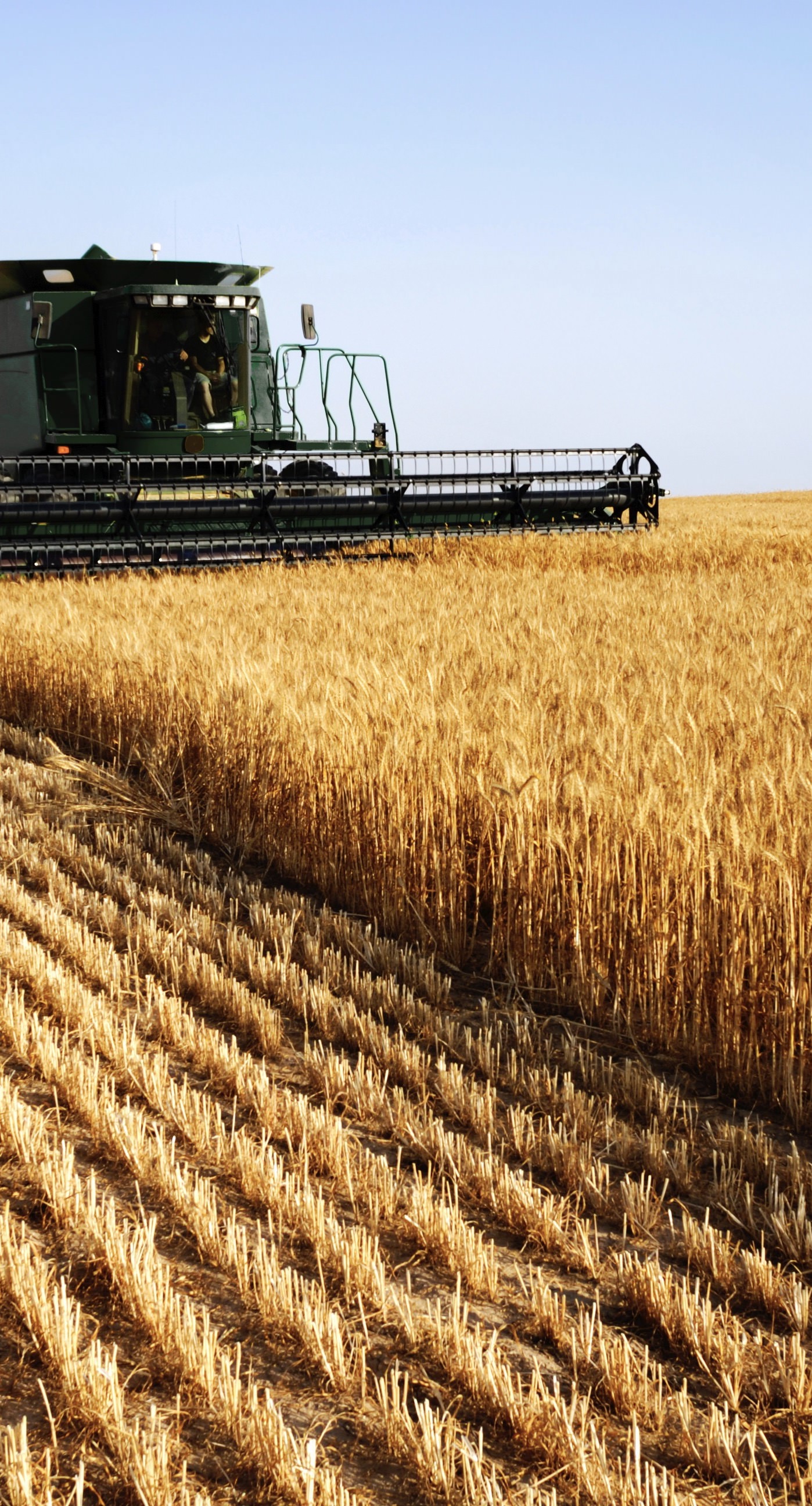 Agriculture yellow tractor vehicles. wallpaper.sc iPhone6sPlus