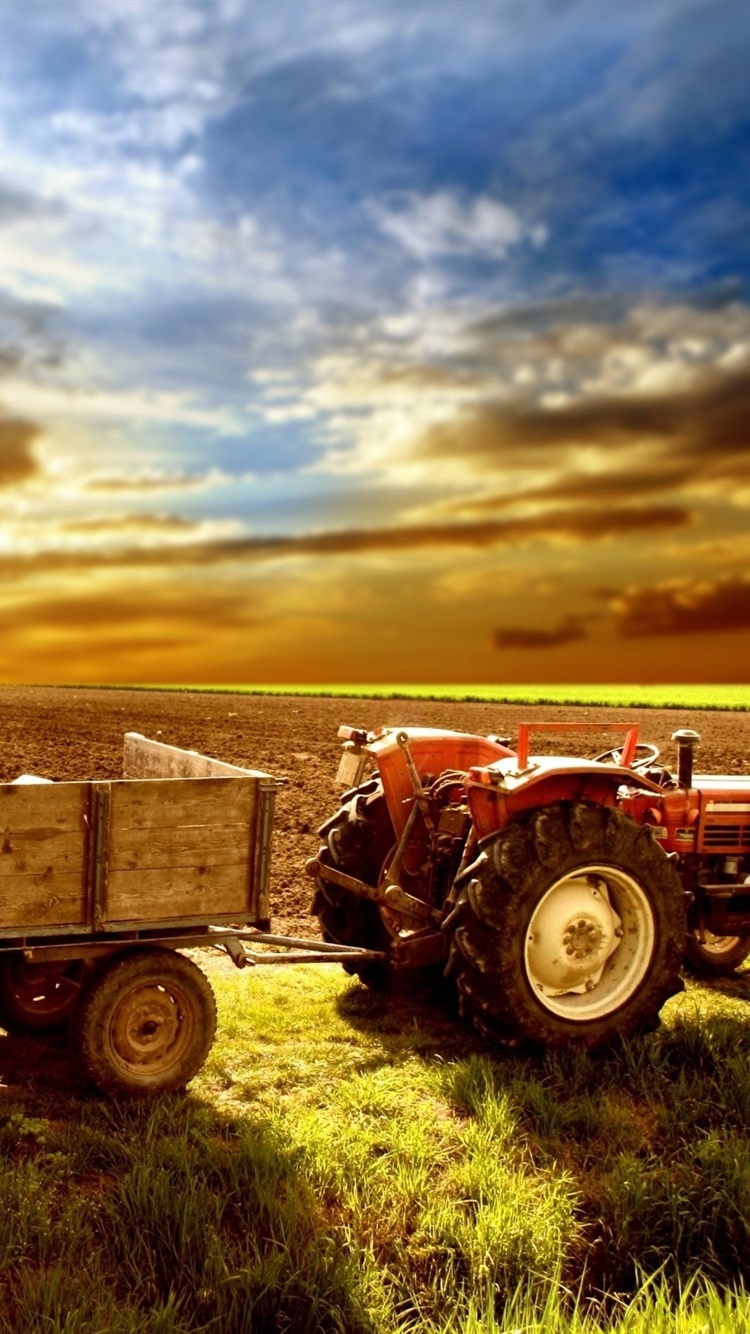 Tractor, Fields, Grass, Sky, Clouds, Sunset 750x1334 IPhone 8 7 6 6S Wallpaper, Background, Picture, Image