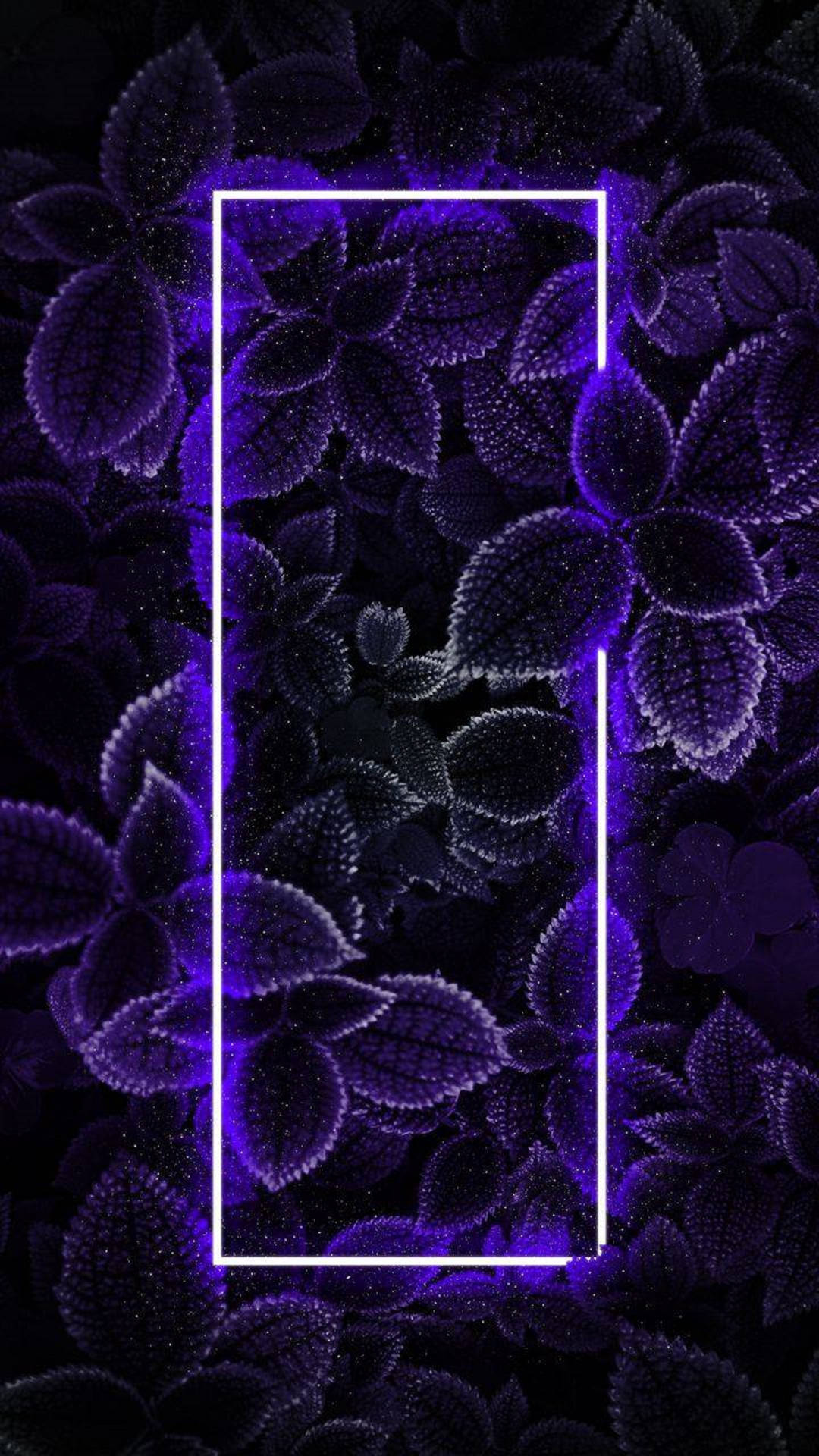 4k Neon iPhone Wallpaper
