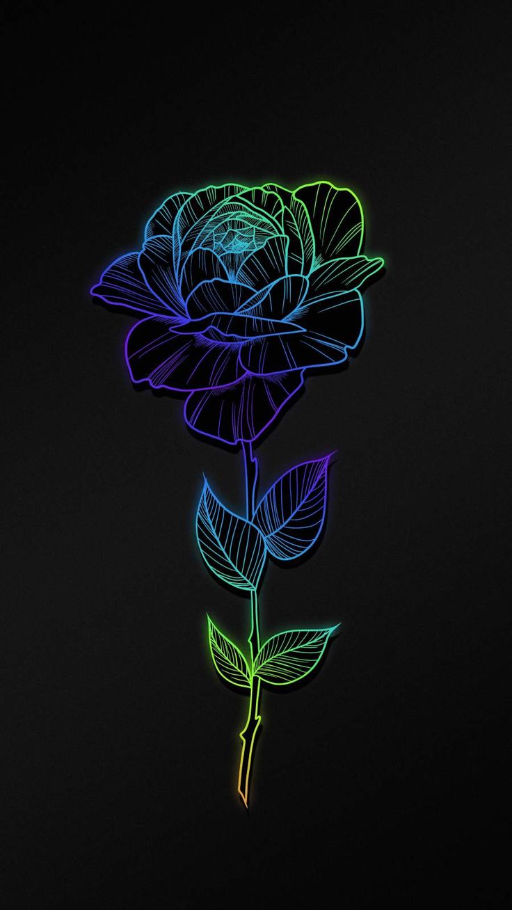 iPhone Wallpaper for iPhone 12, iPhone 11, iPhone X, iPhone XR, iPhone 8 Plus High Quality Wallp. iPhone wallpaper, Flower phone wallpaper, Wallpaper iphone neon