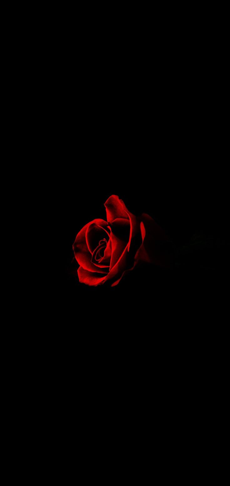 Black and red #blacklover#black#rose#love. Dark phone wallpaper, Dark red wallpaper, Red and black wallpaper