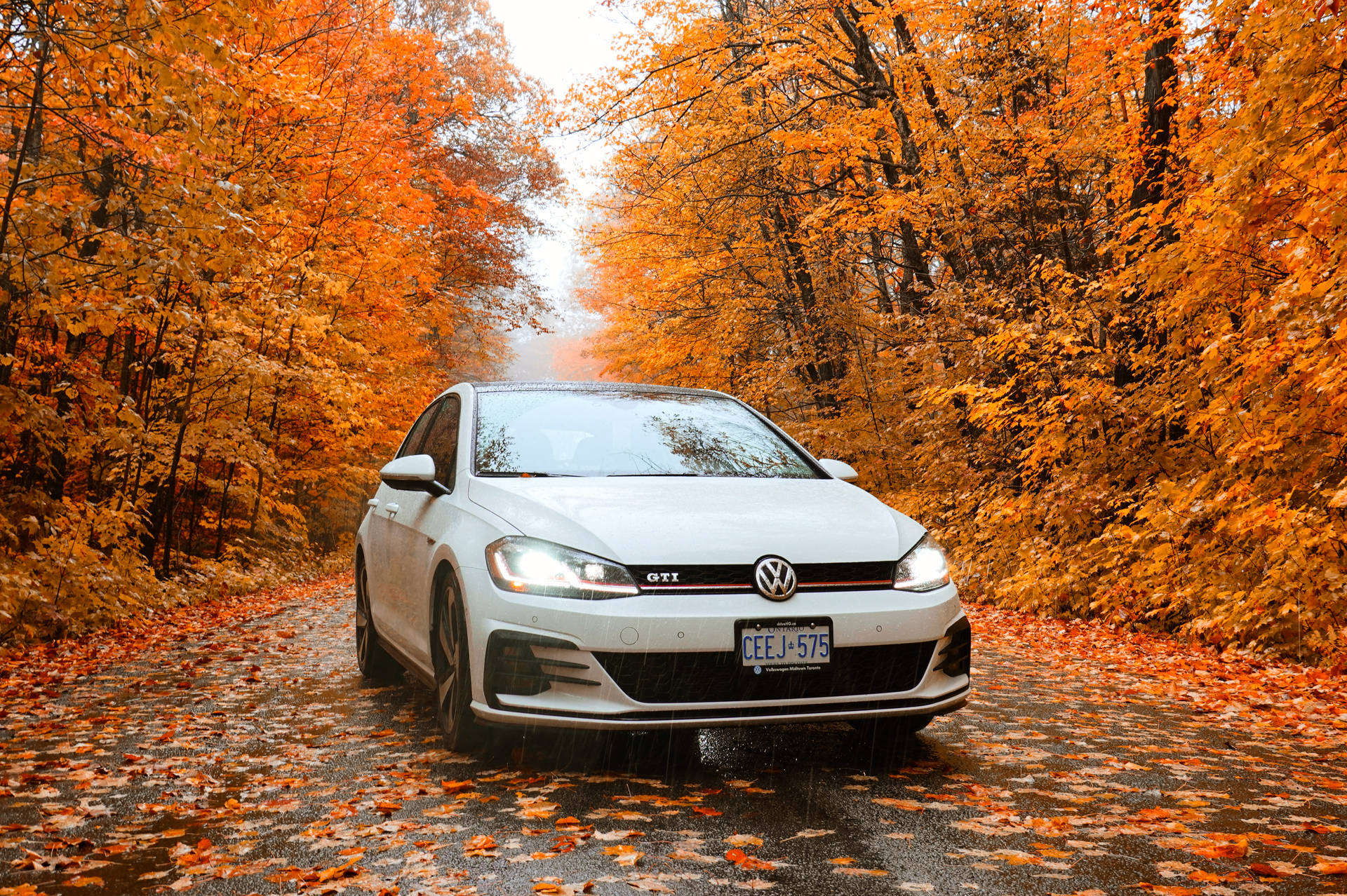 Download Volkswagen Golf GTI Mk7 In Autumn Wallpaper