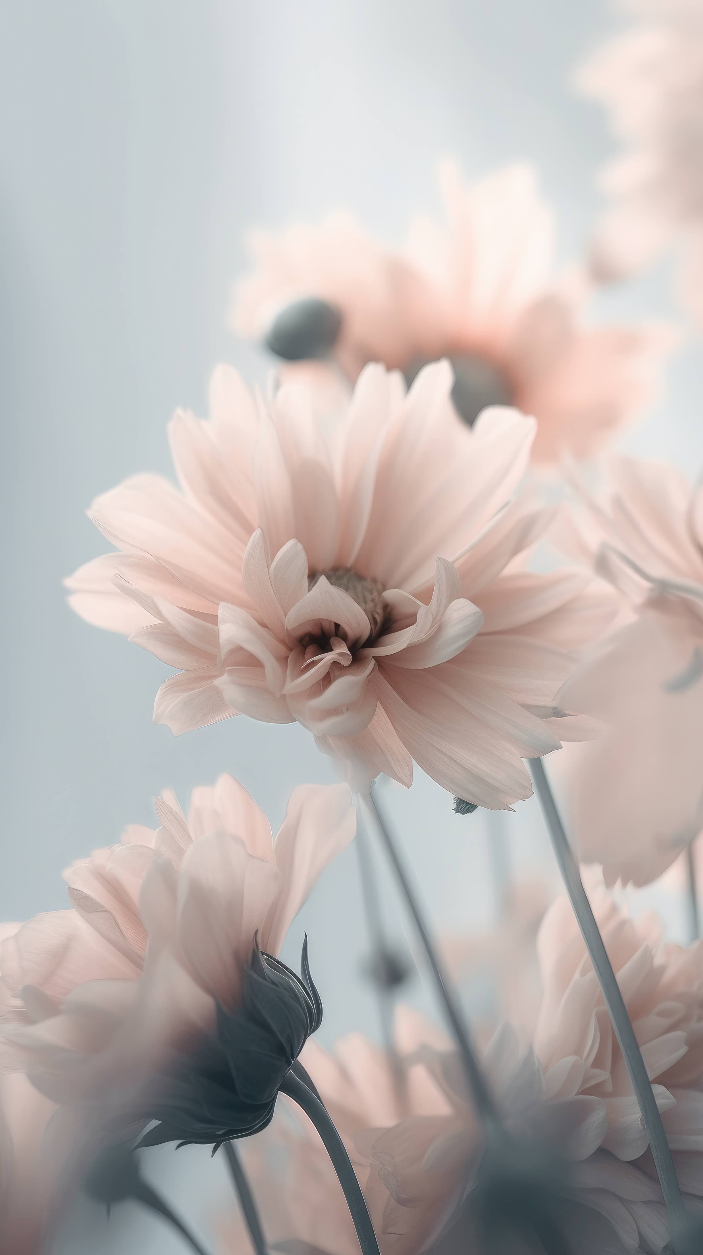A beautiful mobile wallpaper of dreamy flowers in soft pastel hues, with delicate petals and leaves in stunning macro detail