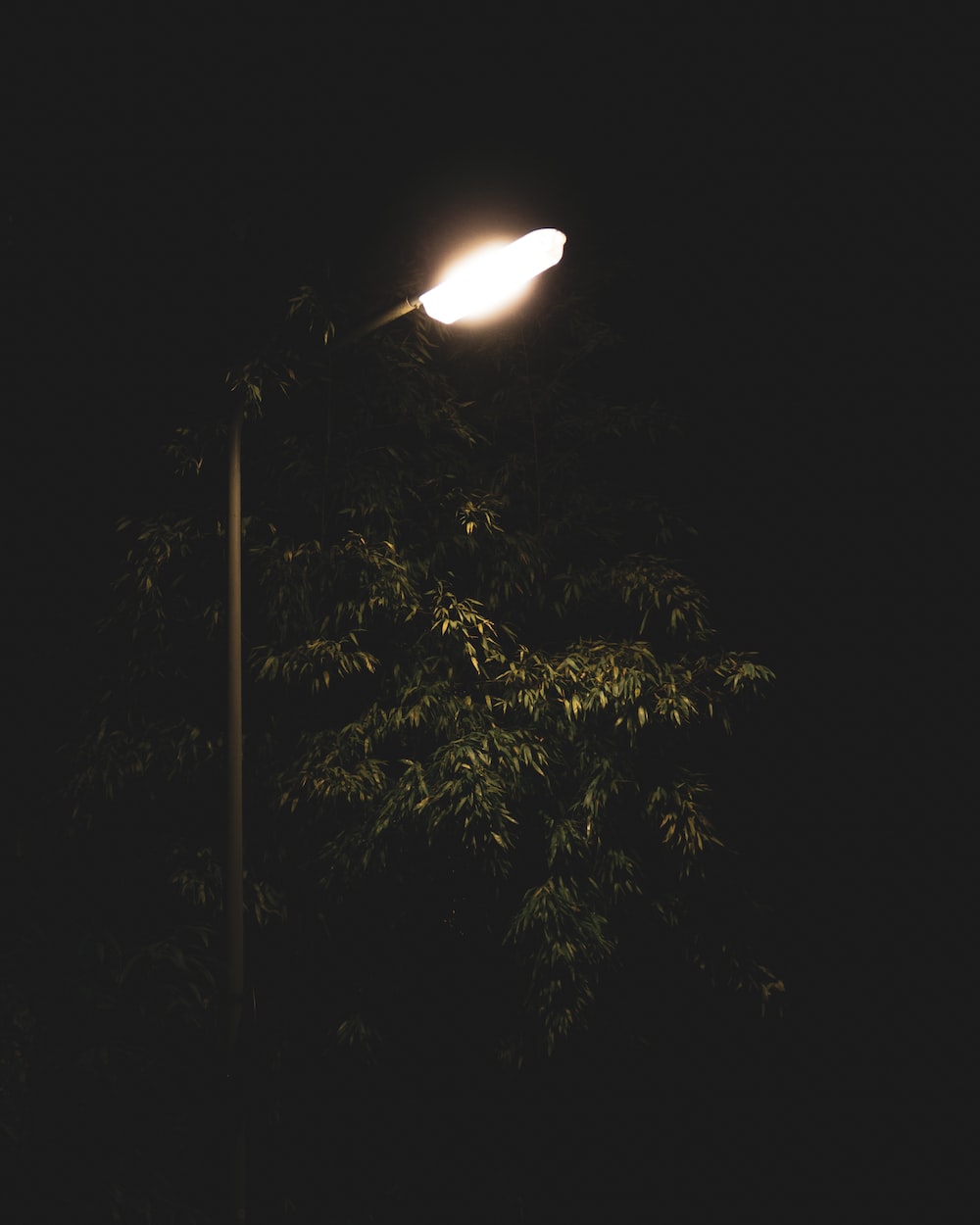 45,Streetlight Picture. Download Free Image