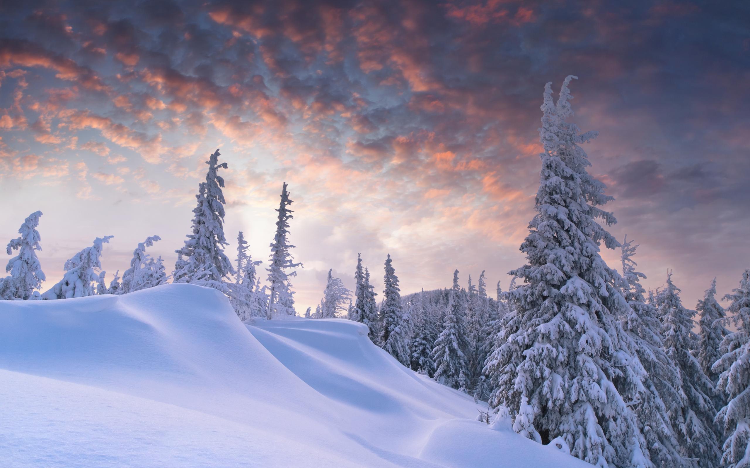 Nature Winter HD Wallpaper