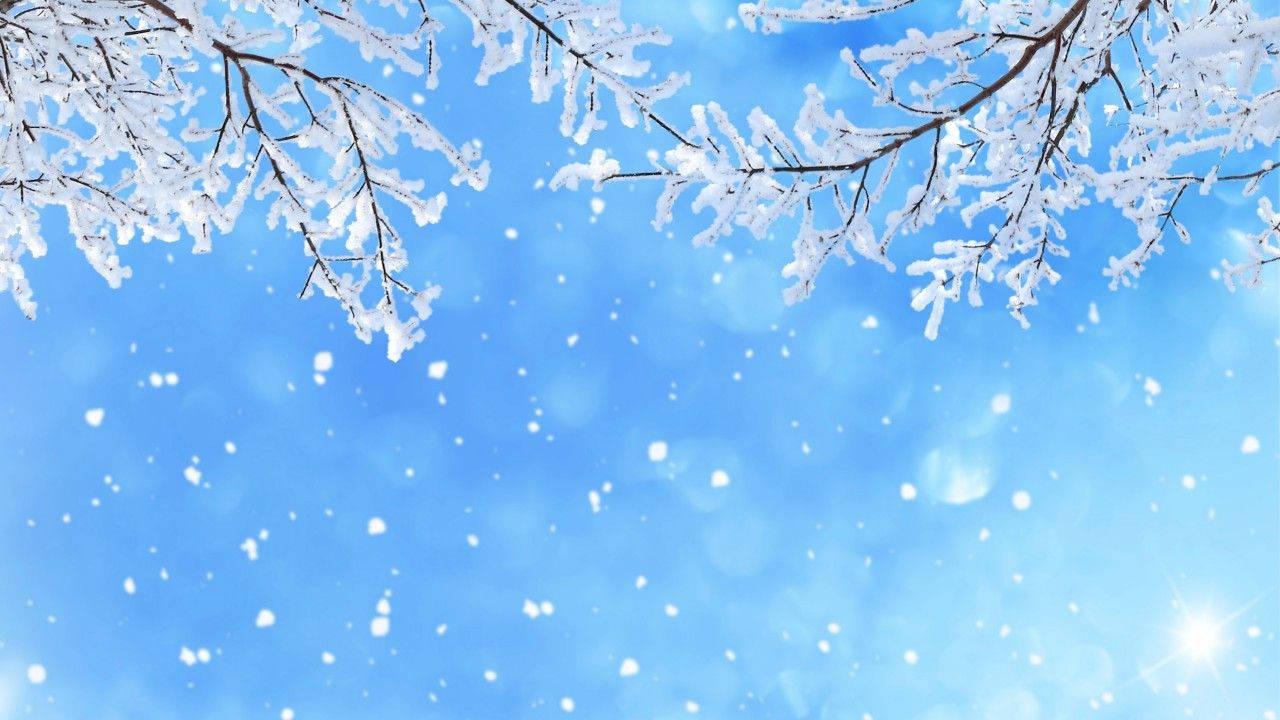 Snow Wallpaper