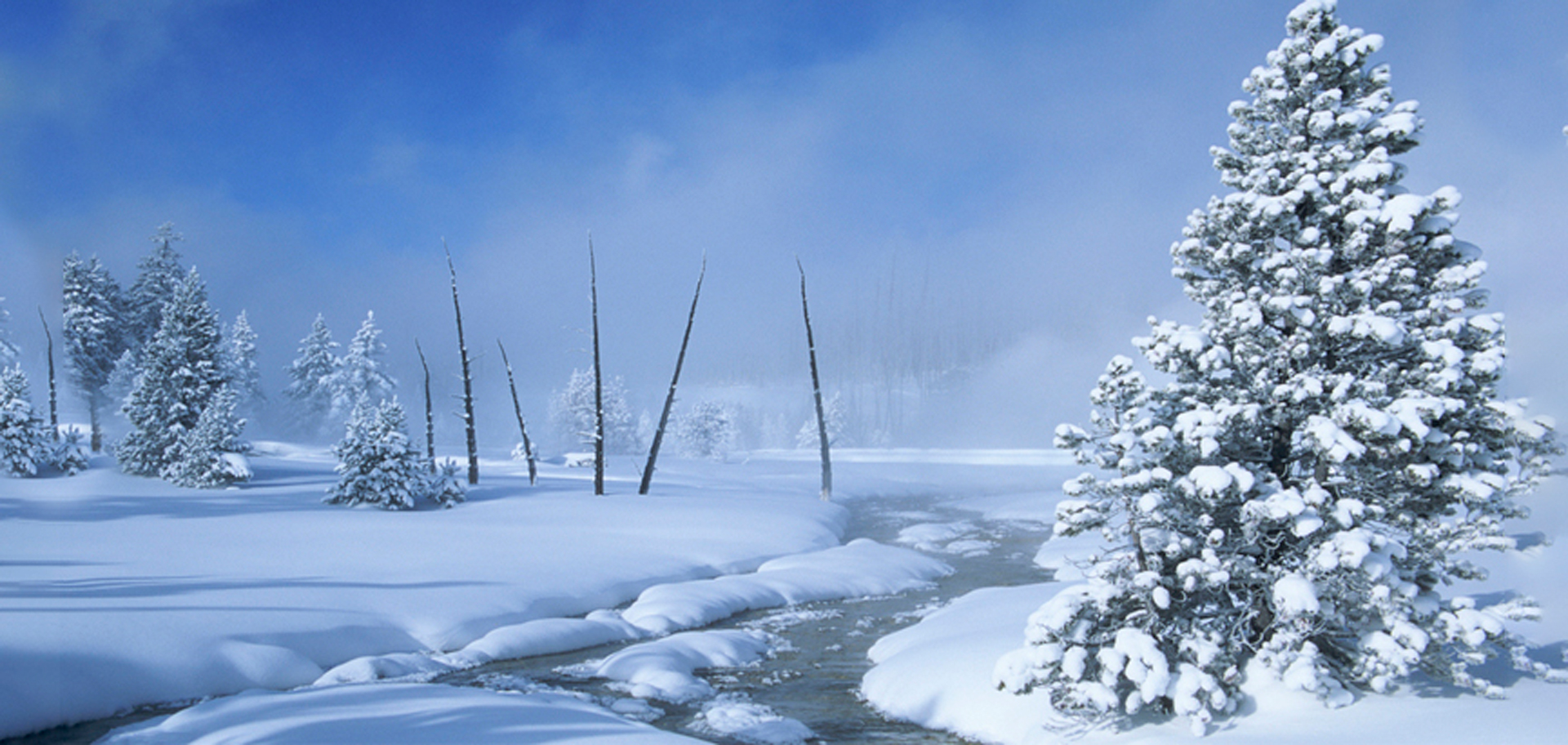 Six Adventures That Will Make You Love Winter