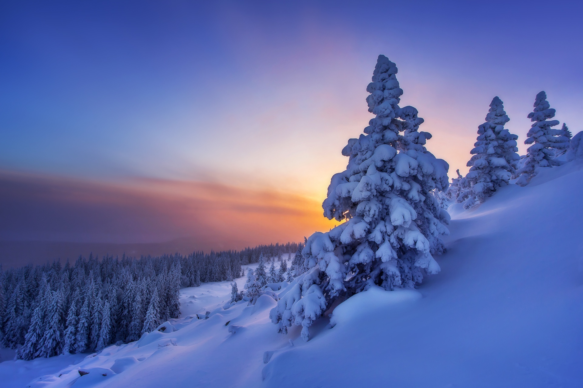 Download Russia Nature Winter HD Wallpaper