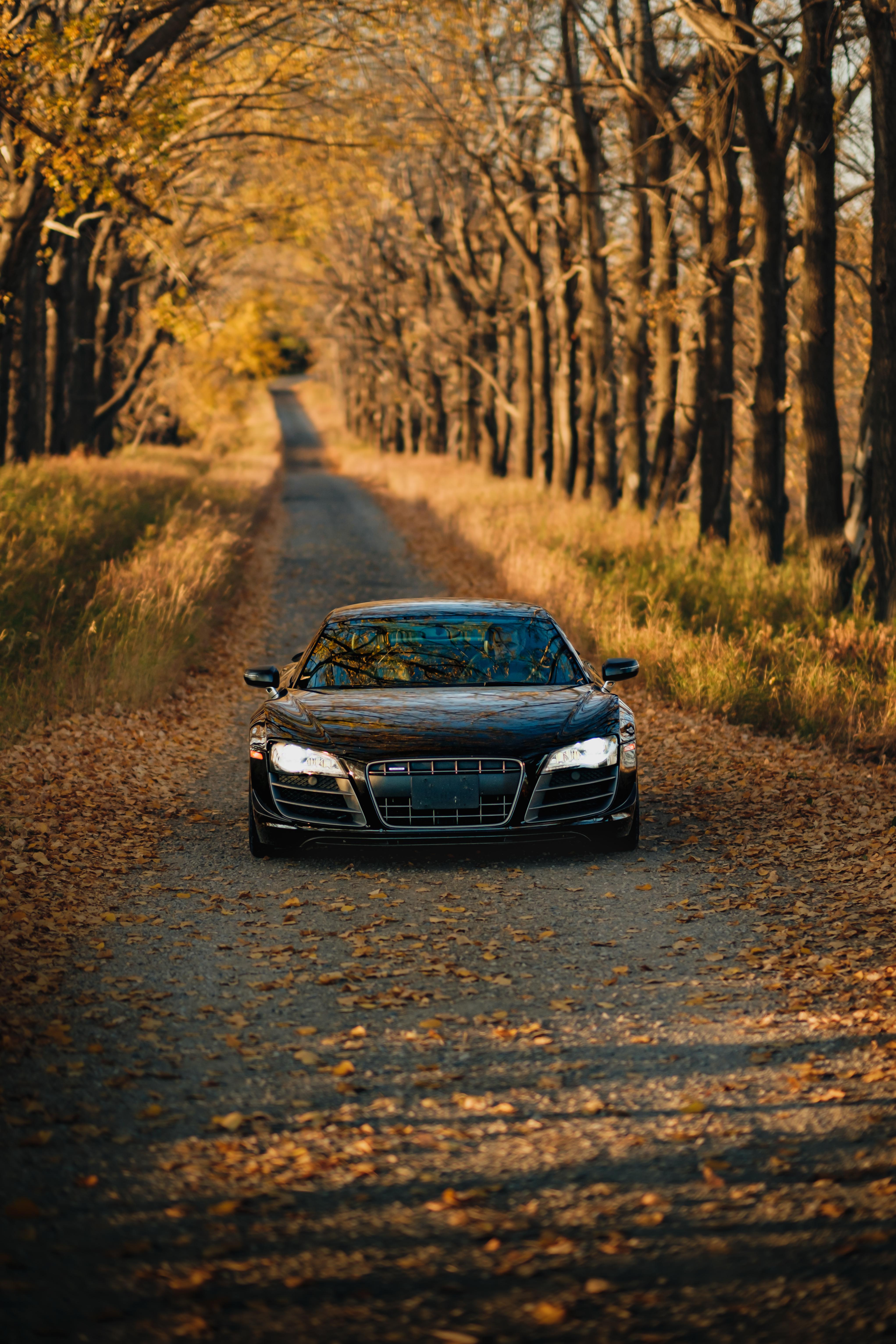 X T4 And 56 F 1.2 Fall Photohoot With An Audi R8 V10. Astia Based Recipe