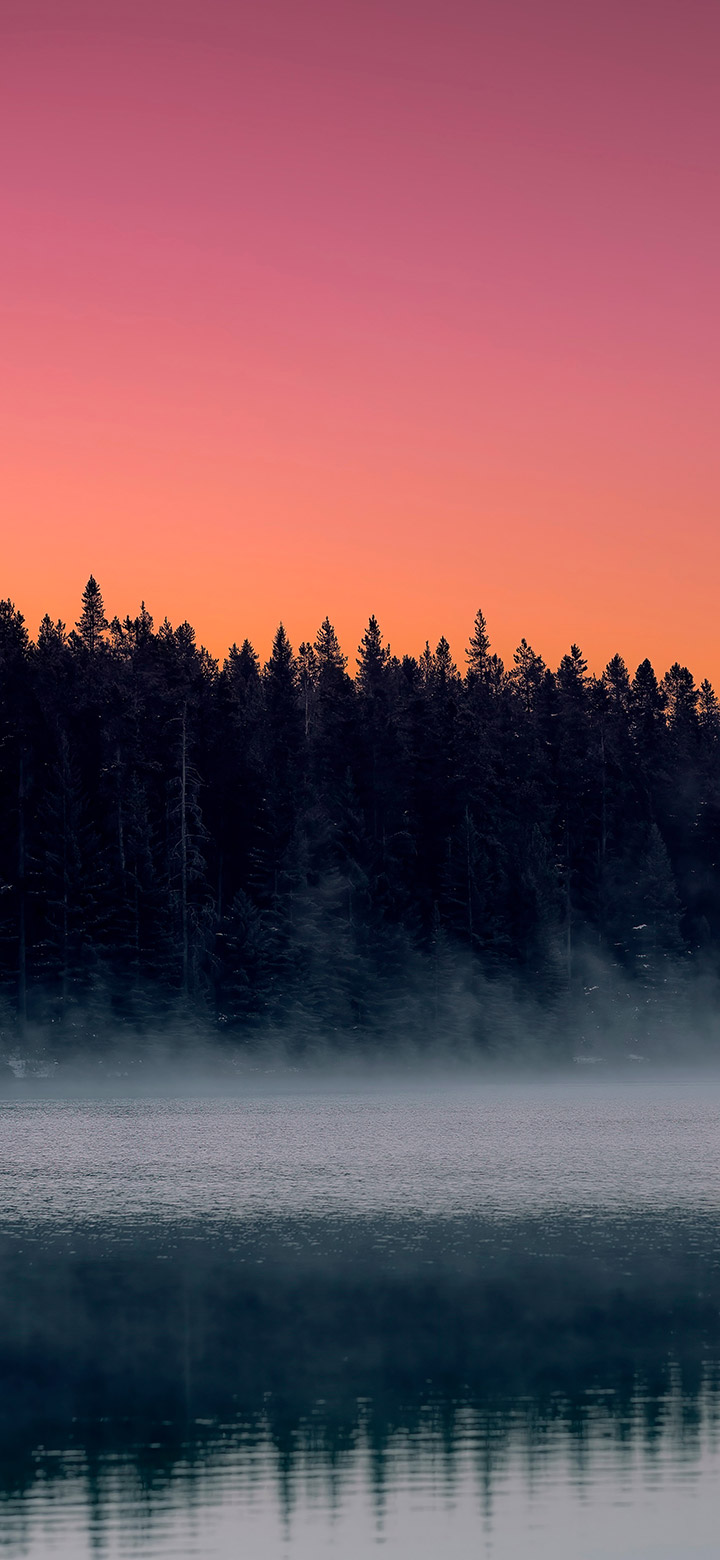 Dark Trees Alongside The River 4K Phone Wallpaper