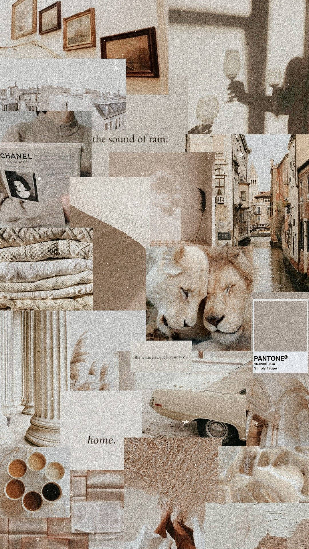 Neutral Background Wallpaper