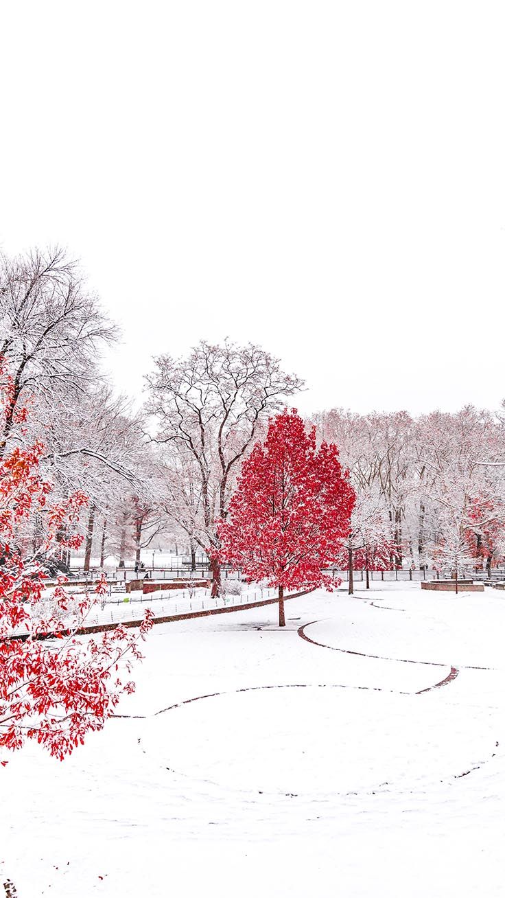 x Winter Wonderland iPhone Xs Wallpaper. Preppy Wallpaper. Winter picture, iPhone wallpaper winter, Winter wallpaper