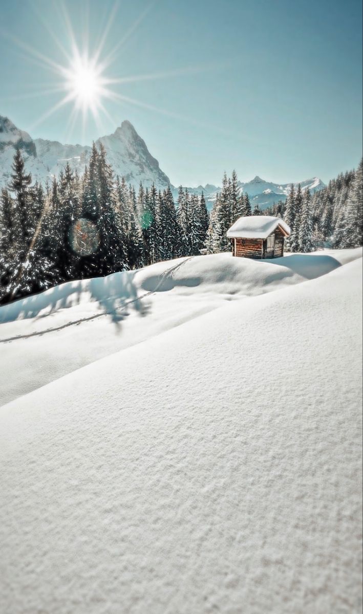 Quick Saves. Zepeto beach background, Background place aesthetic, Aesthetic background