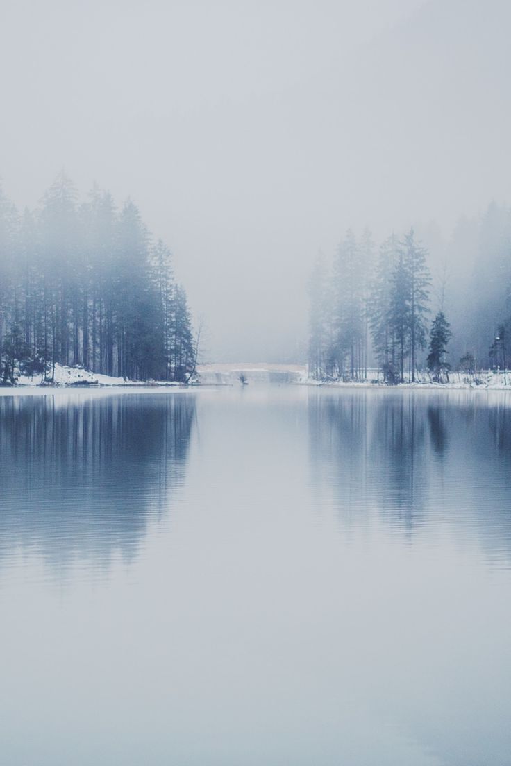 White Fog over Trees Lining Lake. Winter wallpaper, Winter lake, Nature