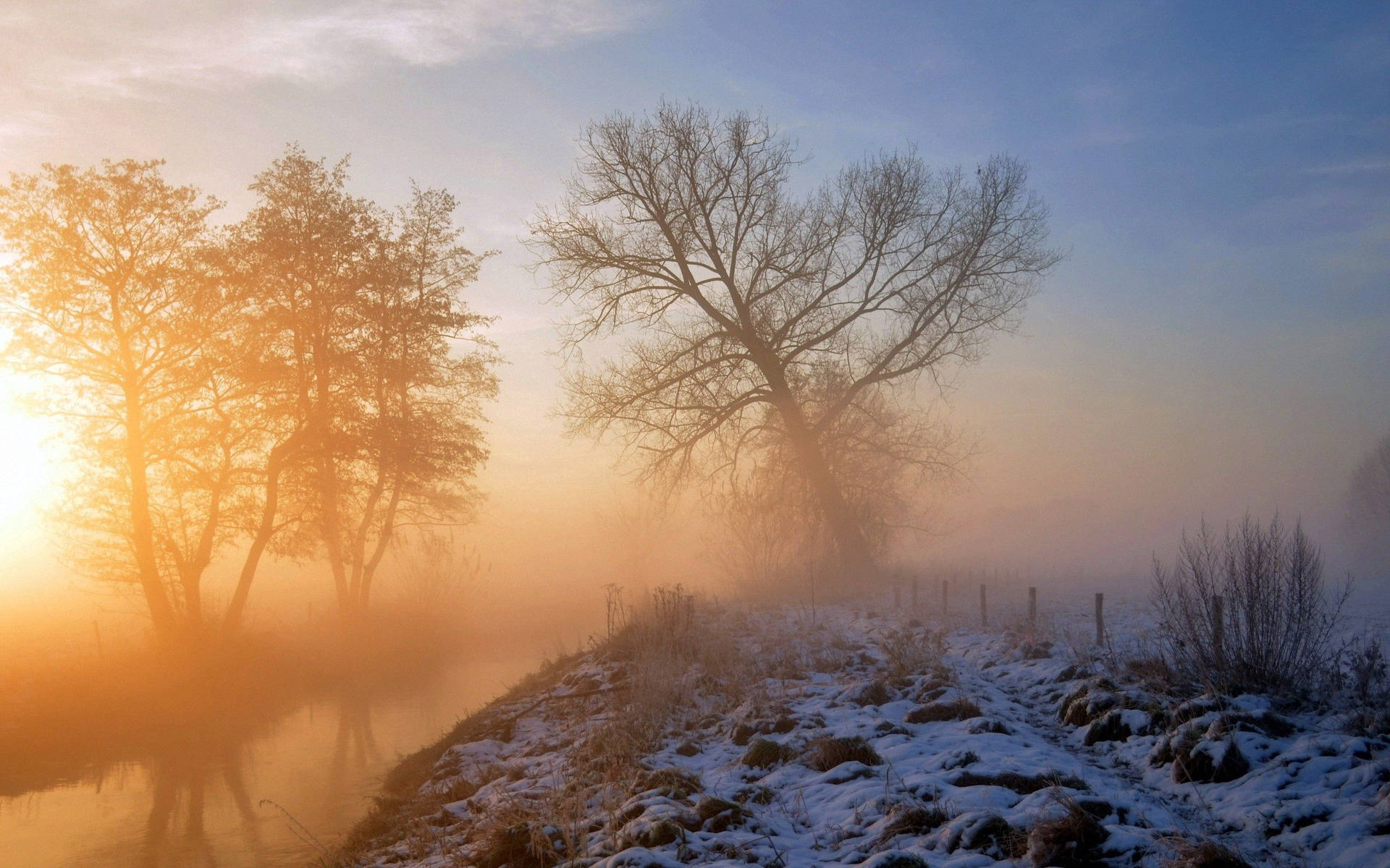 Download A Quiet, Frosty Winter Morning Wallpaper