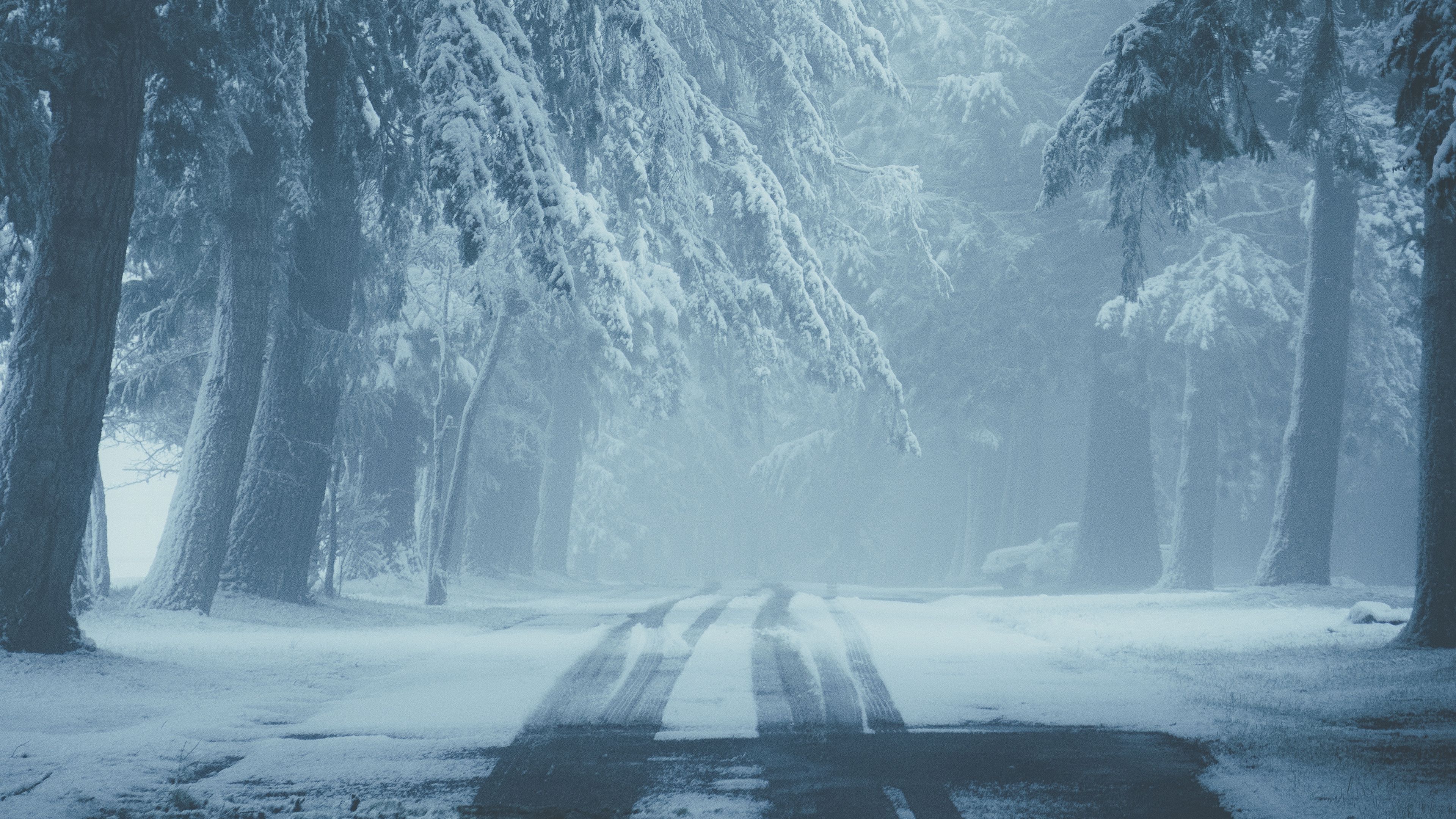 Download wallpaper 3840x2160 road, snow, fog, winter, trees, traces 4k uhd 16:9 HD background