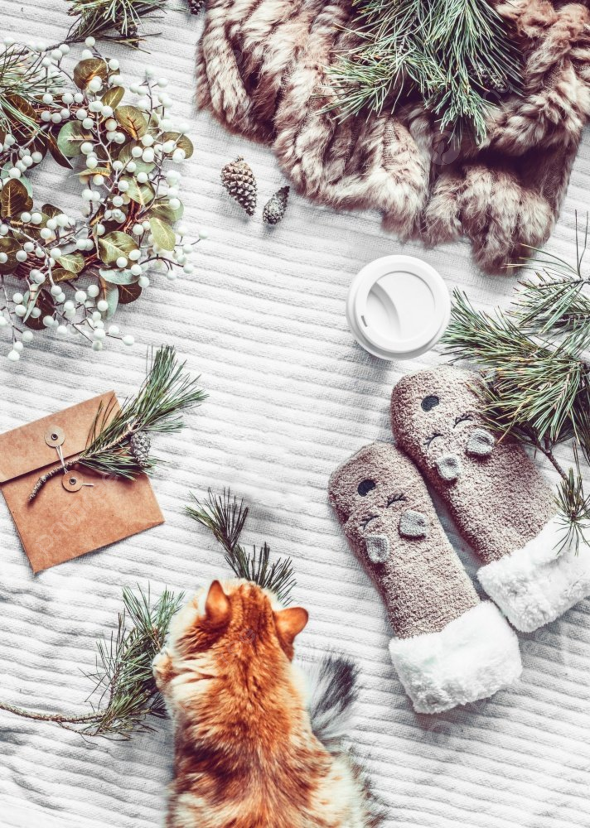 Cozy Winter And Christmas Lifestyle With Fir Branches Photo Background And Picture For Free Download