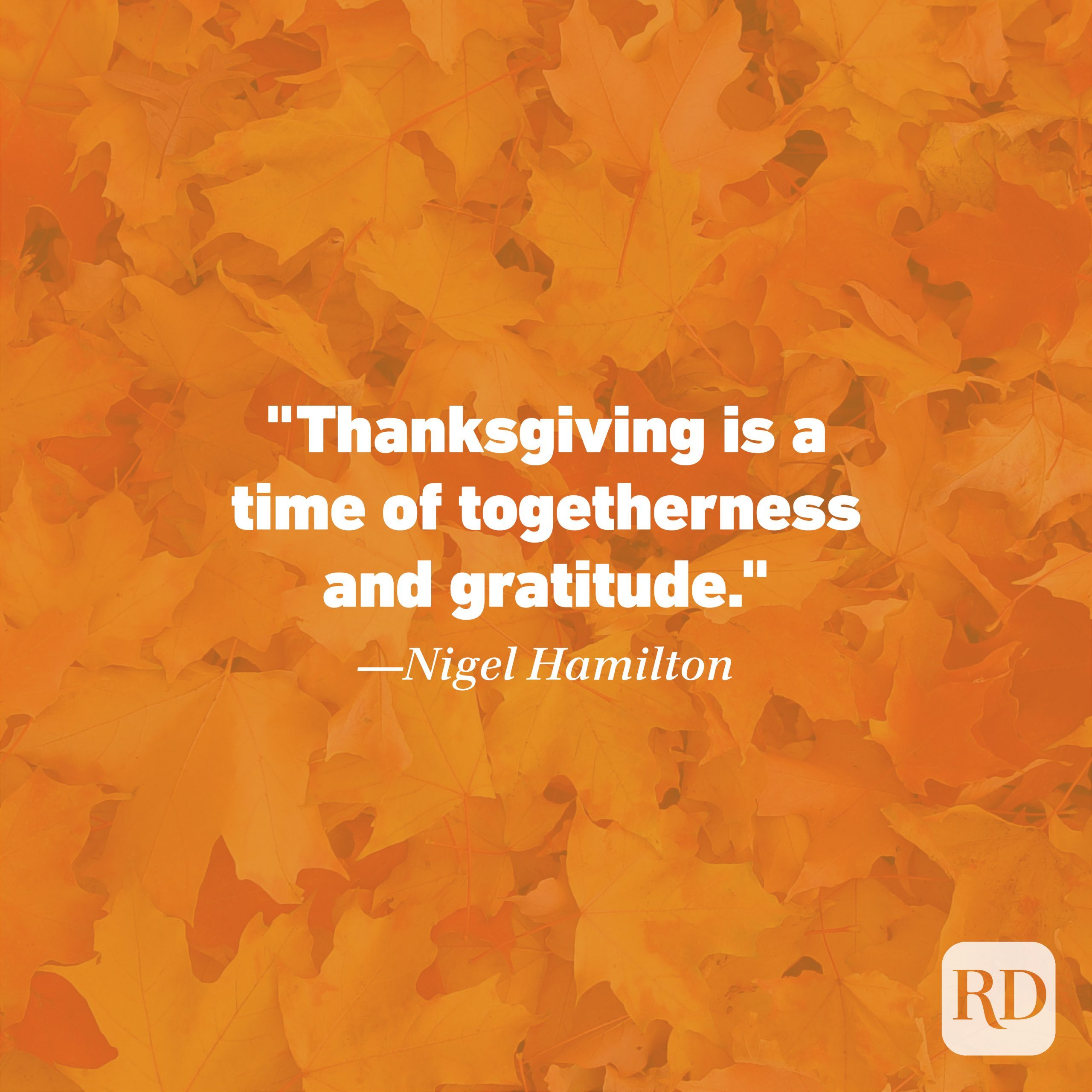 Best Thanksgiving Quotes 2022