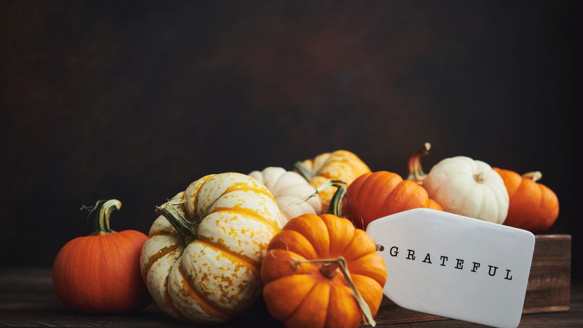 Thanksgiving Greetings to Write in a Thanksgiving Card