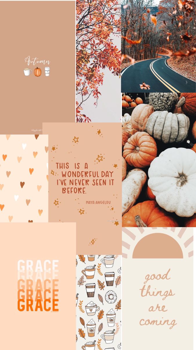 Aesthetic autumn wallpaper