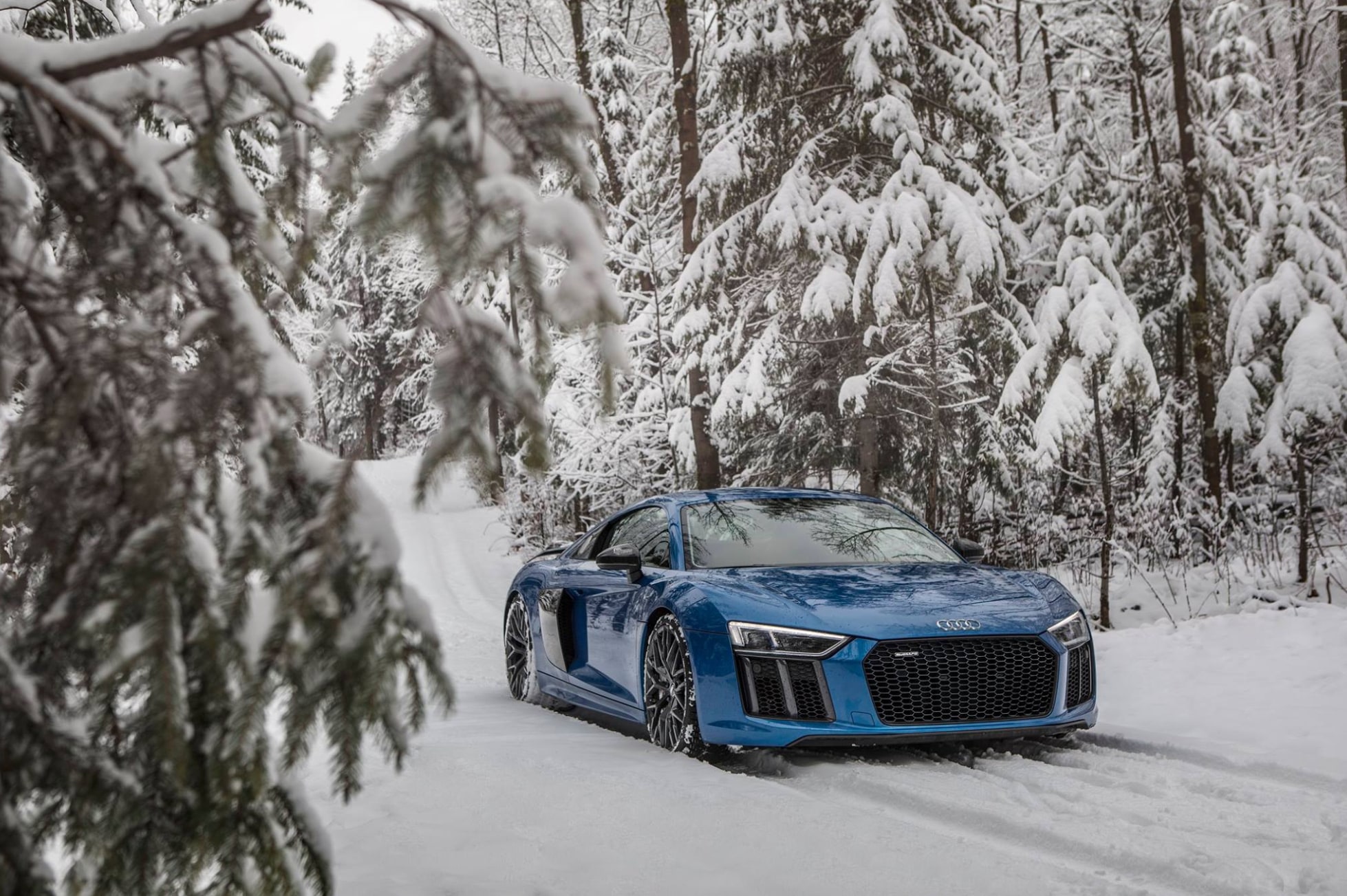 Our Favorite Audi Winter Photo from Around the World