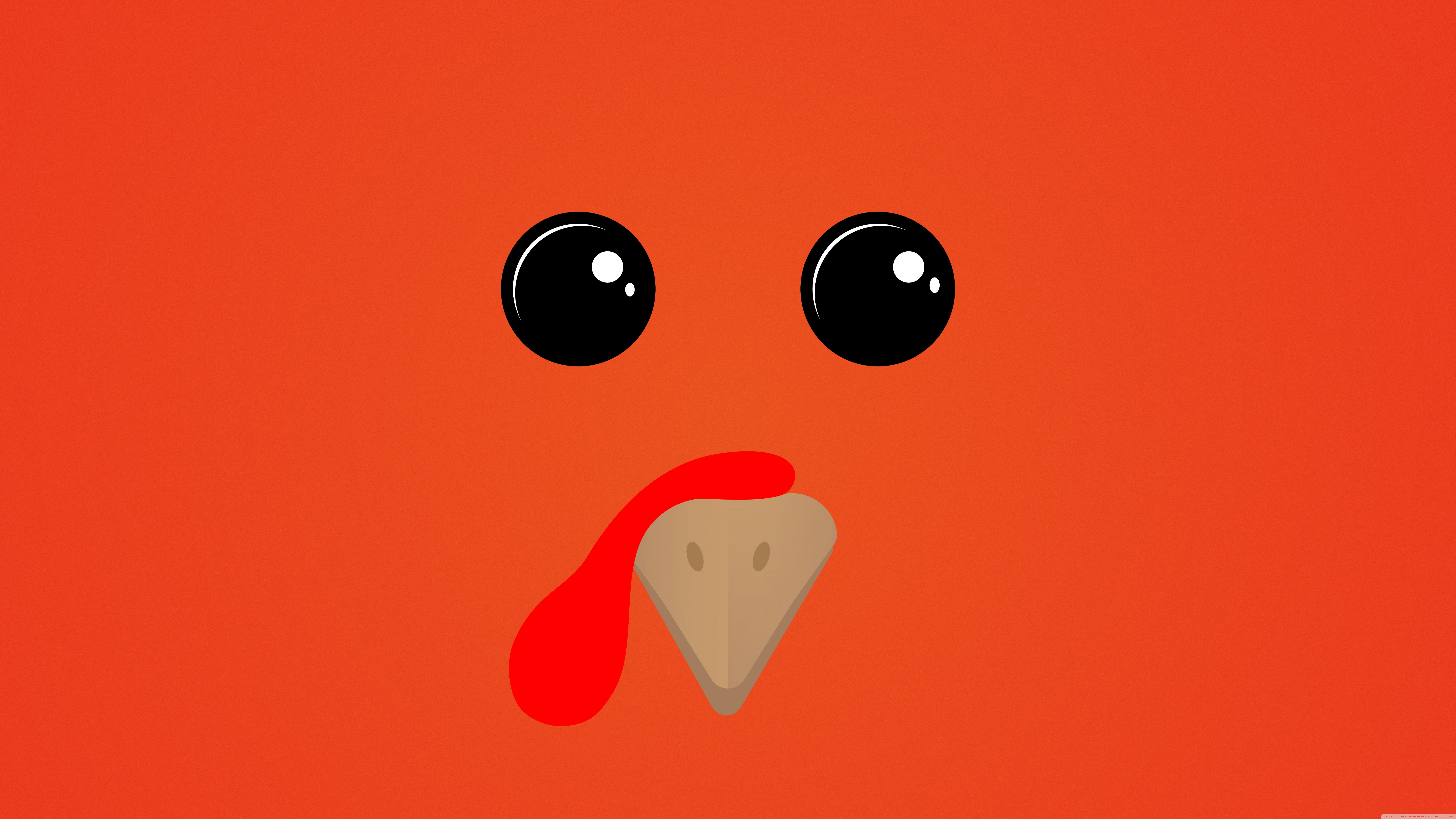 Thanksgiving Turkey Ultra HD Desktop Background Wallpaper for 4K UHD TV, Tablet