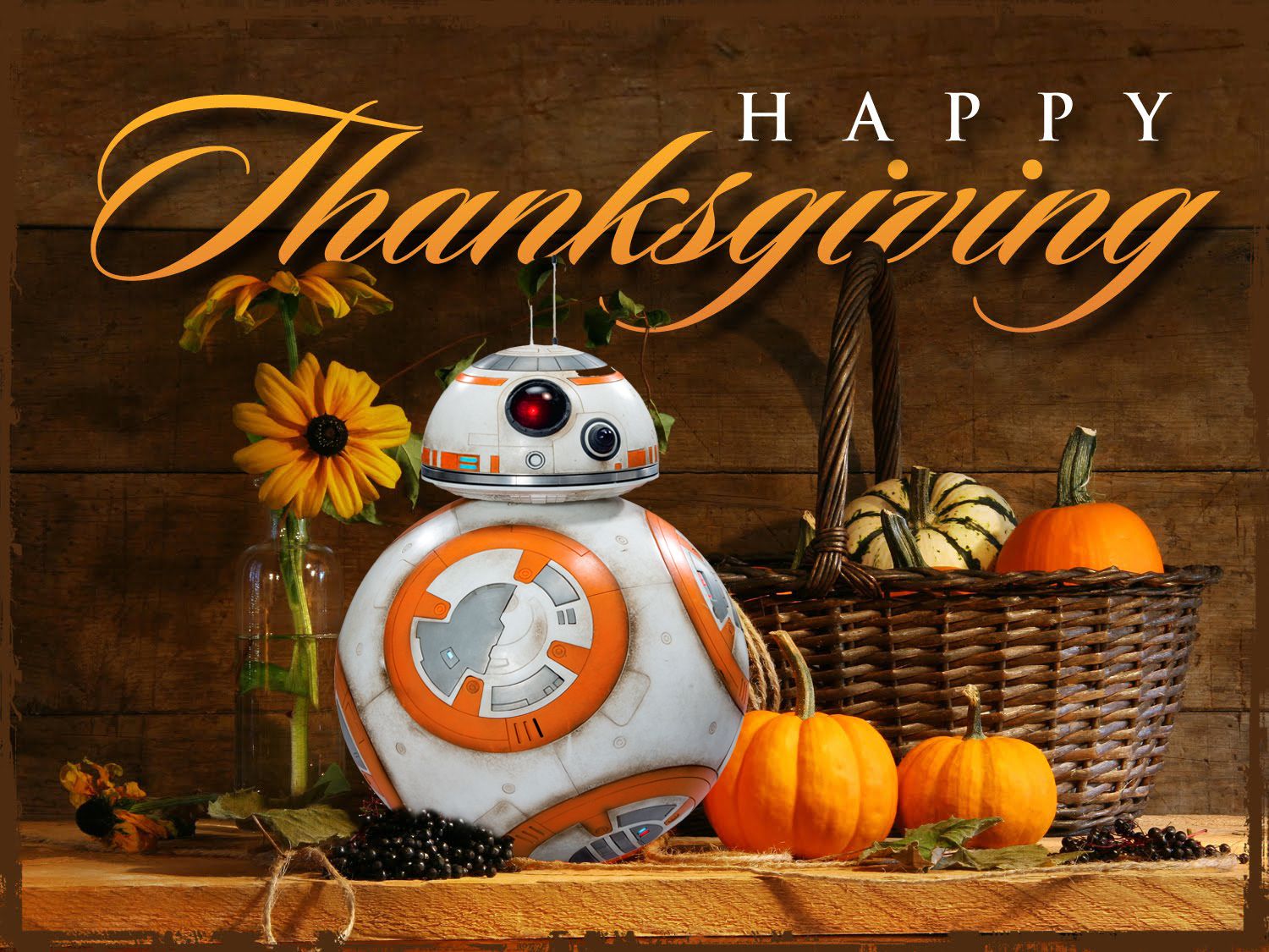 Happy Thanksgiving to all our US visitors. Happy thanksgiving, Funny thanksgiving, Happy