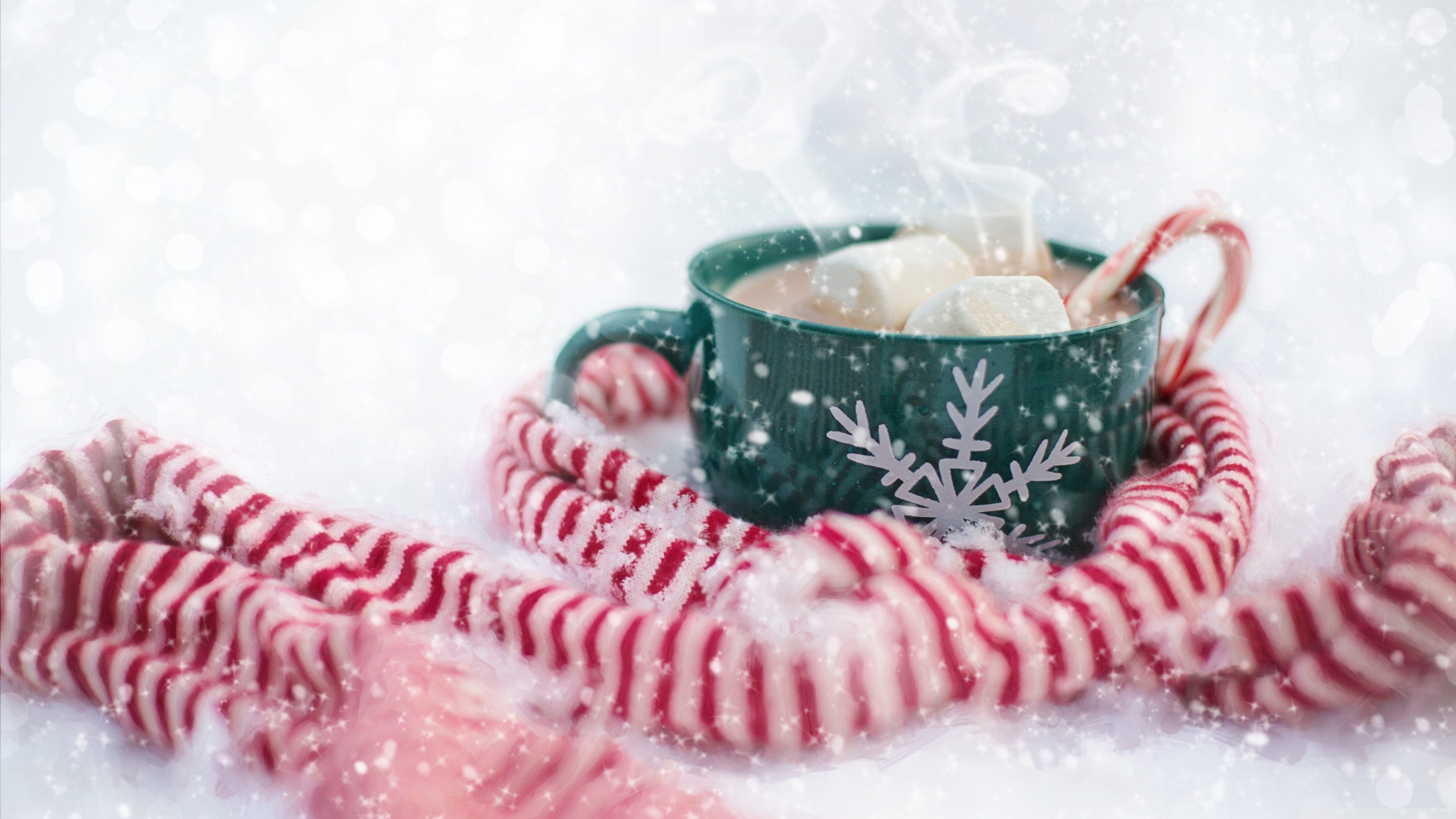 Hot Chocolate Christmas Ultra HD Desktop Background Wallpaper for 4K UHD TV, Widescreen & UltraWide Desktop & Laptop, Tablet