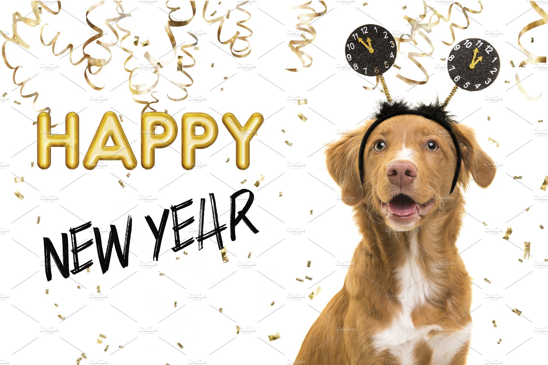 Happy new year dog. Background Creative Market