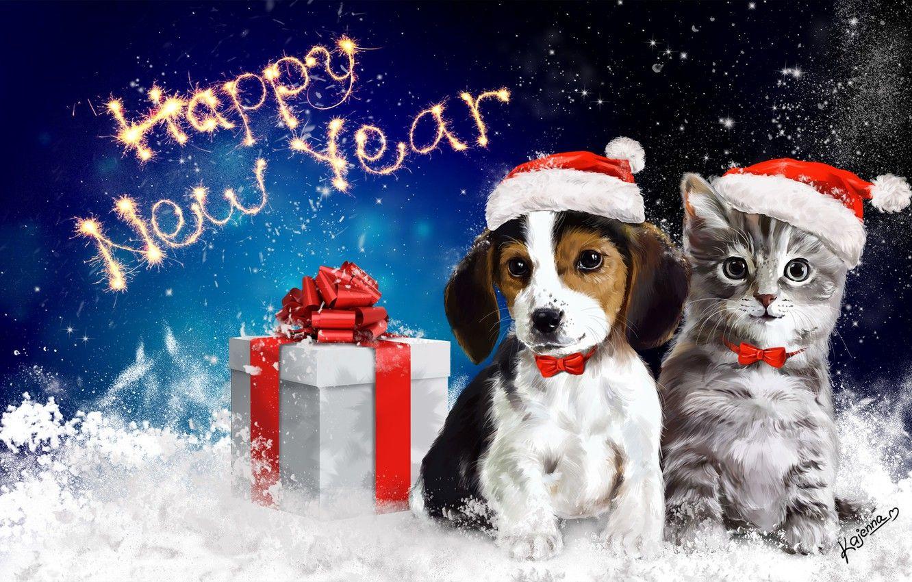New Year Dog Wallpaper