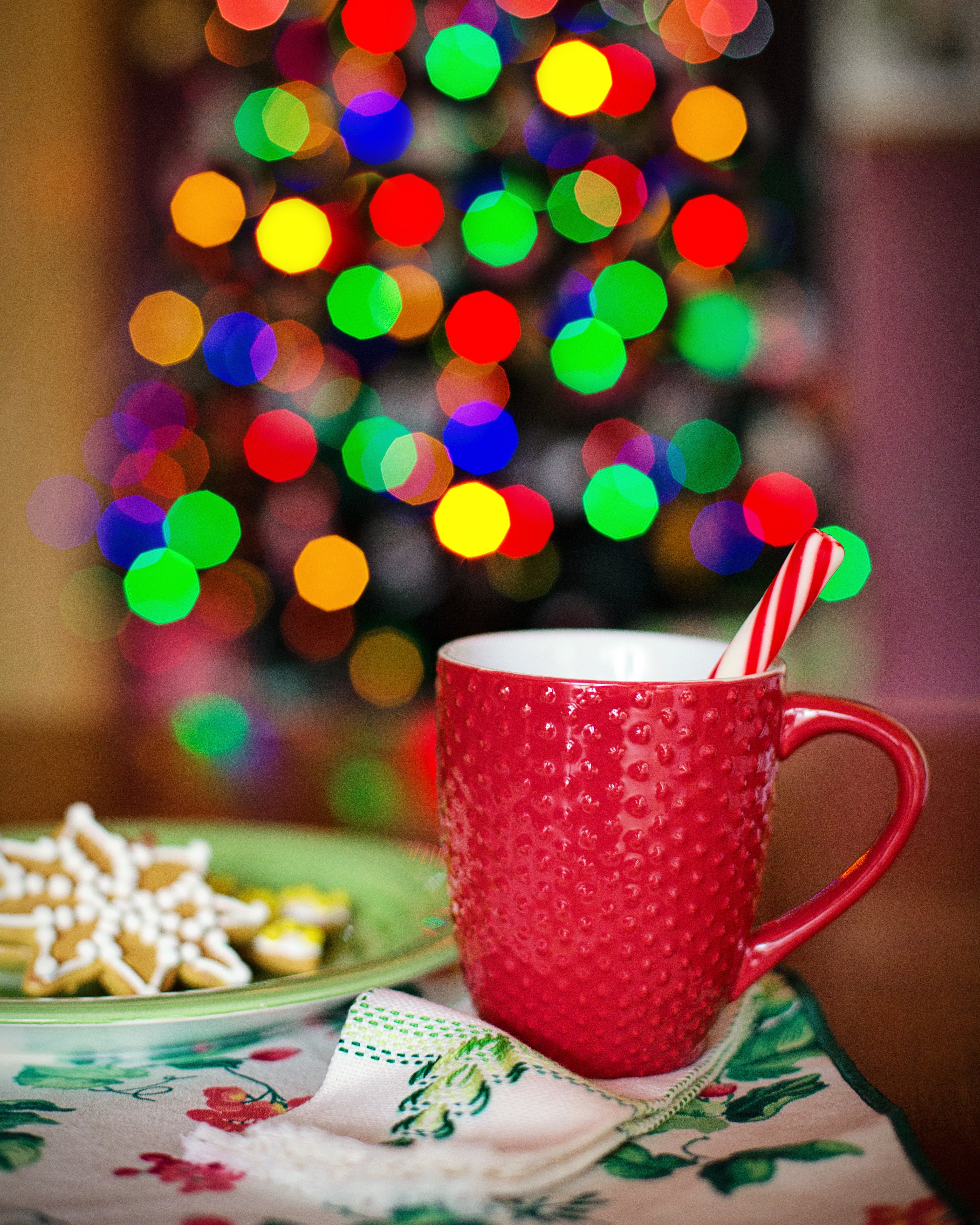 Free Image, winter, warm, cup, hot chocolate, food, holiday, cozy, drink, mug, dessert, christmas tree, season, christmas cookies, cocoa, icing, xmas, sweetness, christmas lights 3777x4721