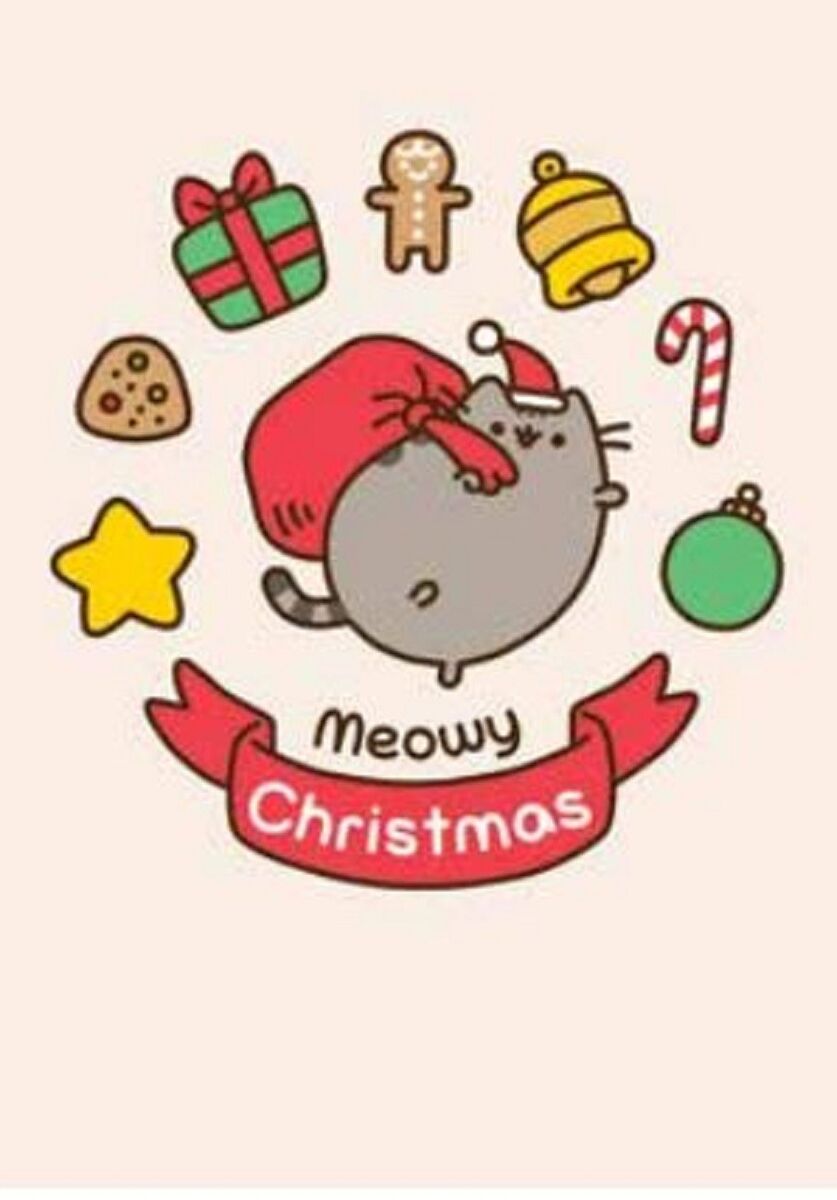 Cute Pusheen the Cat Cartoon Birthday Christmas Blank Funny Humour Greeting Card