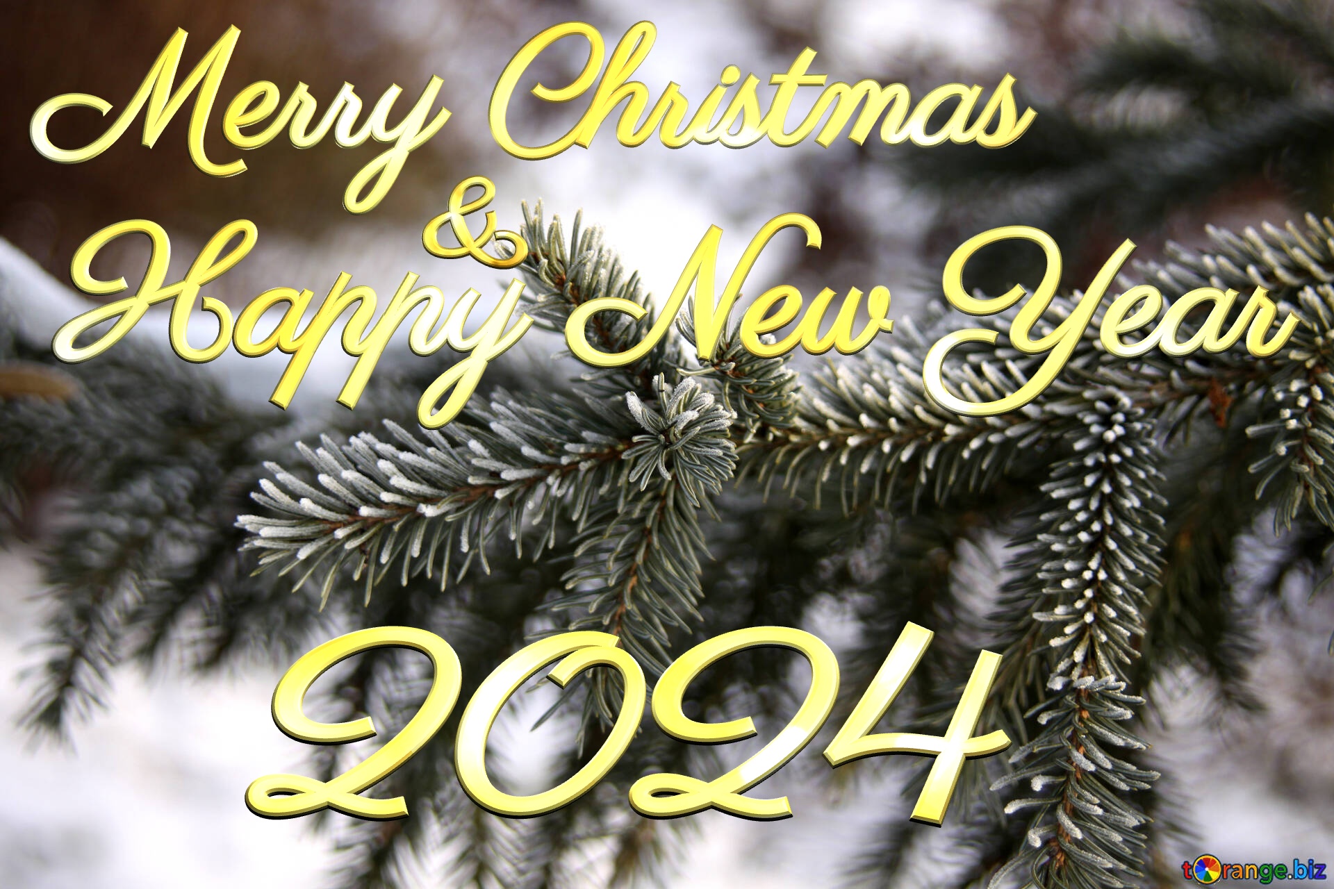 2024 Merry Christmas And Happy New Year Snowy Branches Free Image