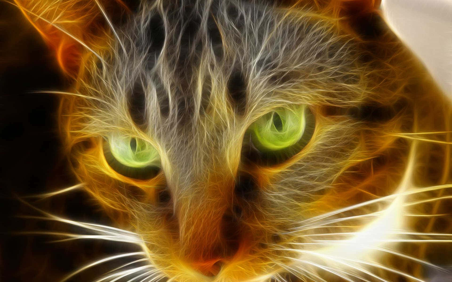 Download Green Eyes On Glowing Tabby Cat Wallpaper