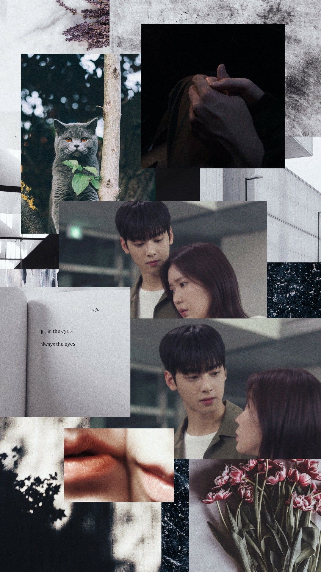 My ID is Gangnam Beauty WALLPAPERS #wallpaper #lockscreen. Beauty wallpaper, Cha eun woo, Cute couple art
