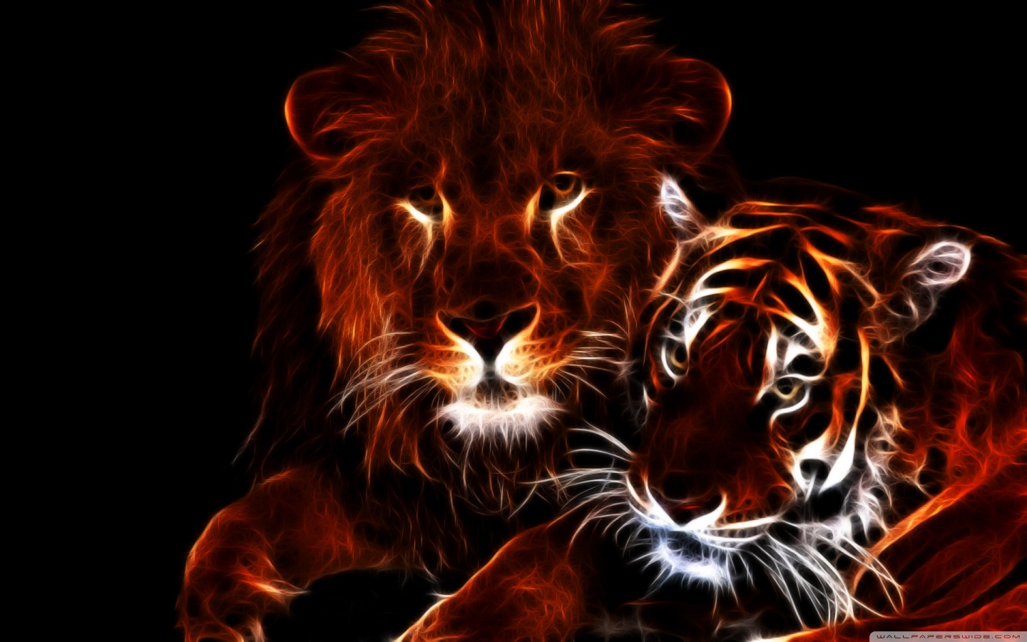 Glowing Lion and Tiger Ultra HD Desktop Background Wallpaper for 4K UHD TV, Tablet