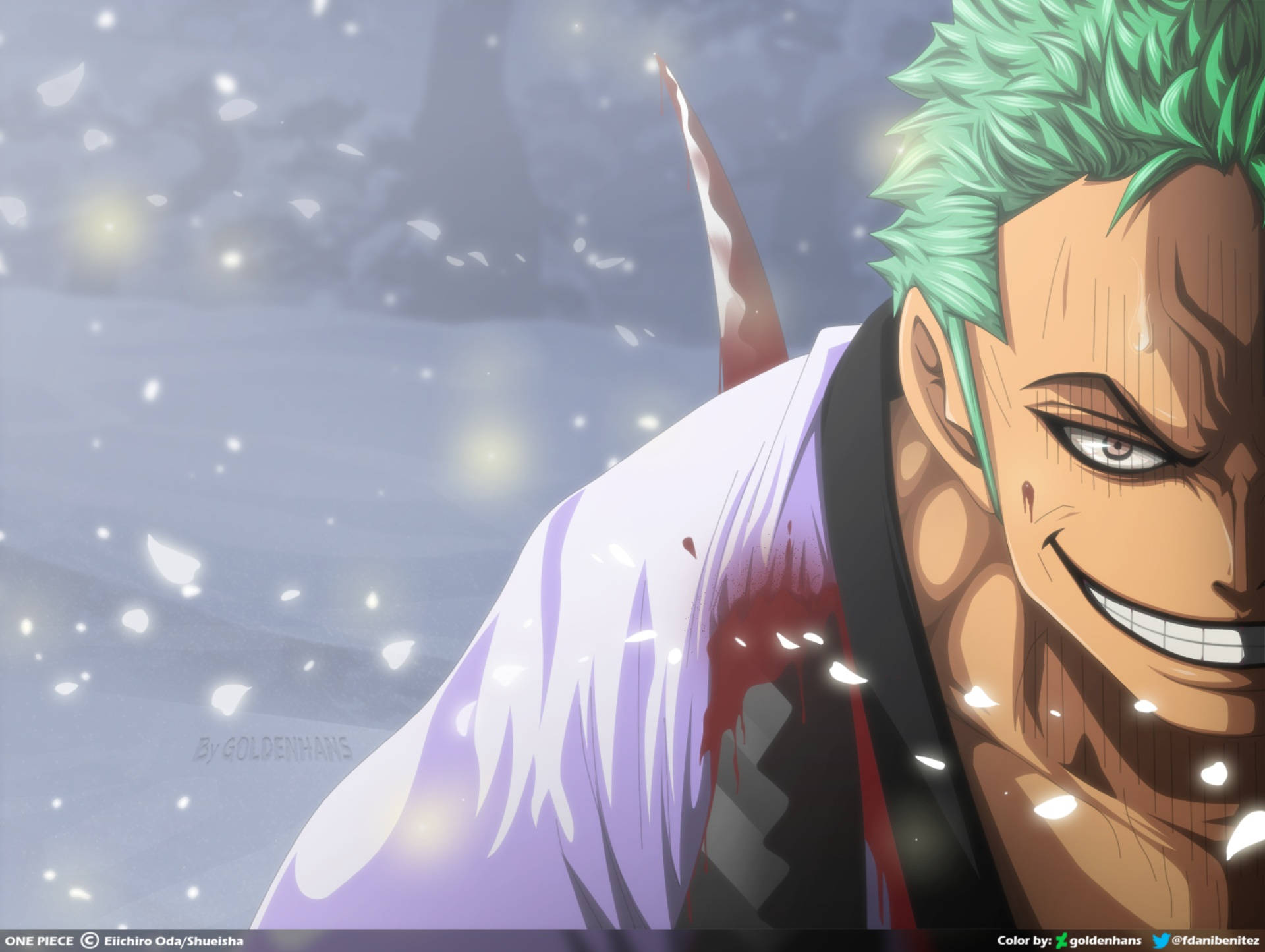 Download Roronoa Zoro Stabbed Wallpaper