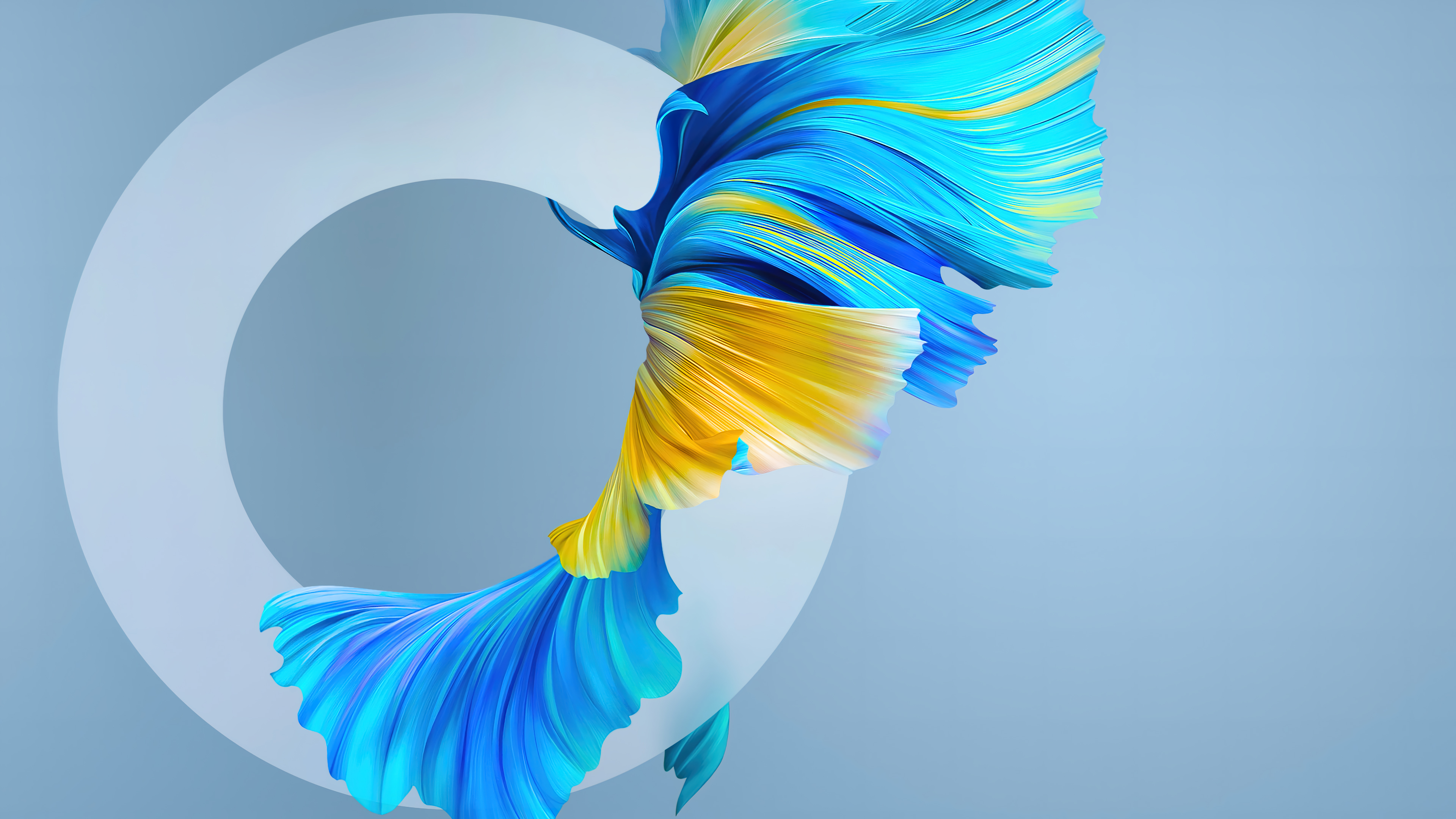 Download High Quality 4K Wallpaper For Free