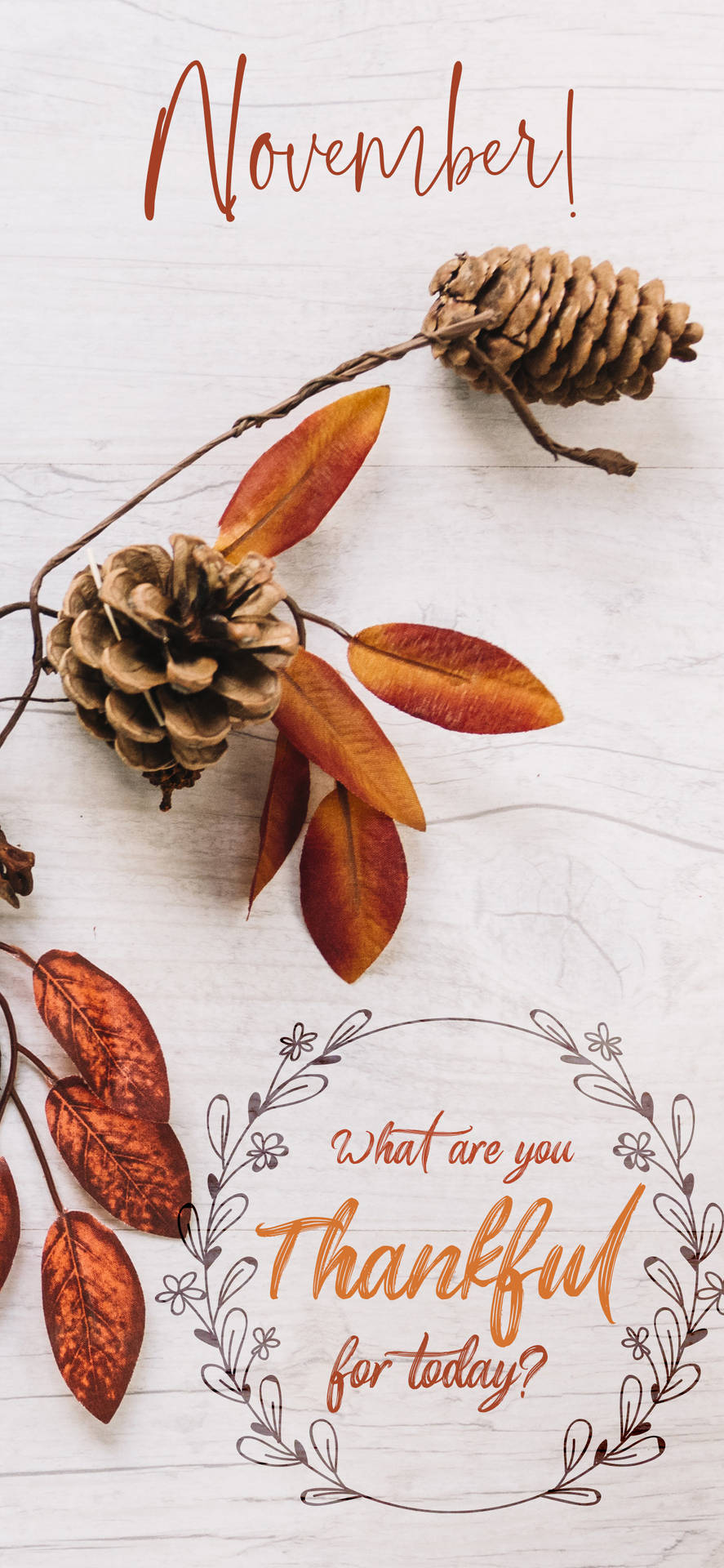 Download November Thankful For Today Wallpaper