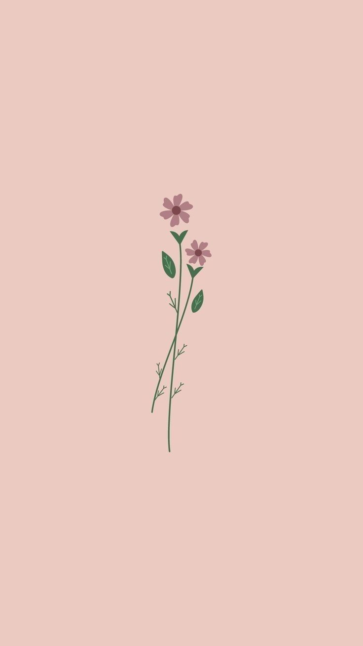 Pink flower wallpaper Pink flower wallpaper