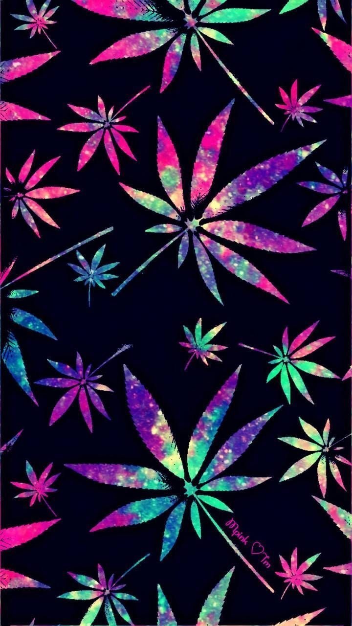 Weed leaf wallpaper Wallpaper Download