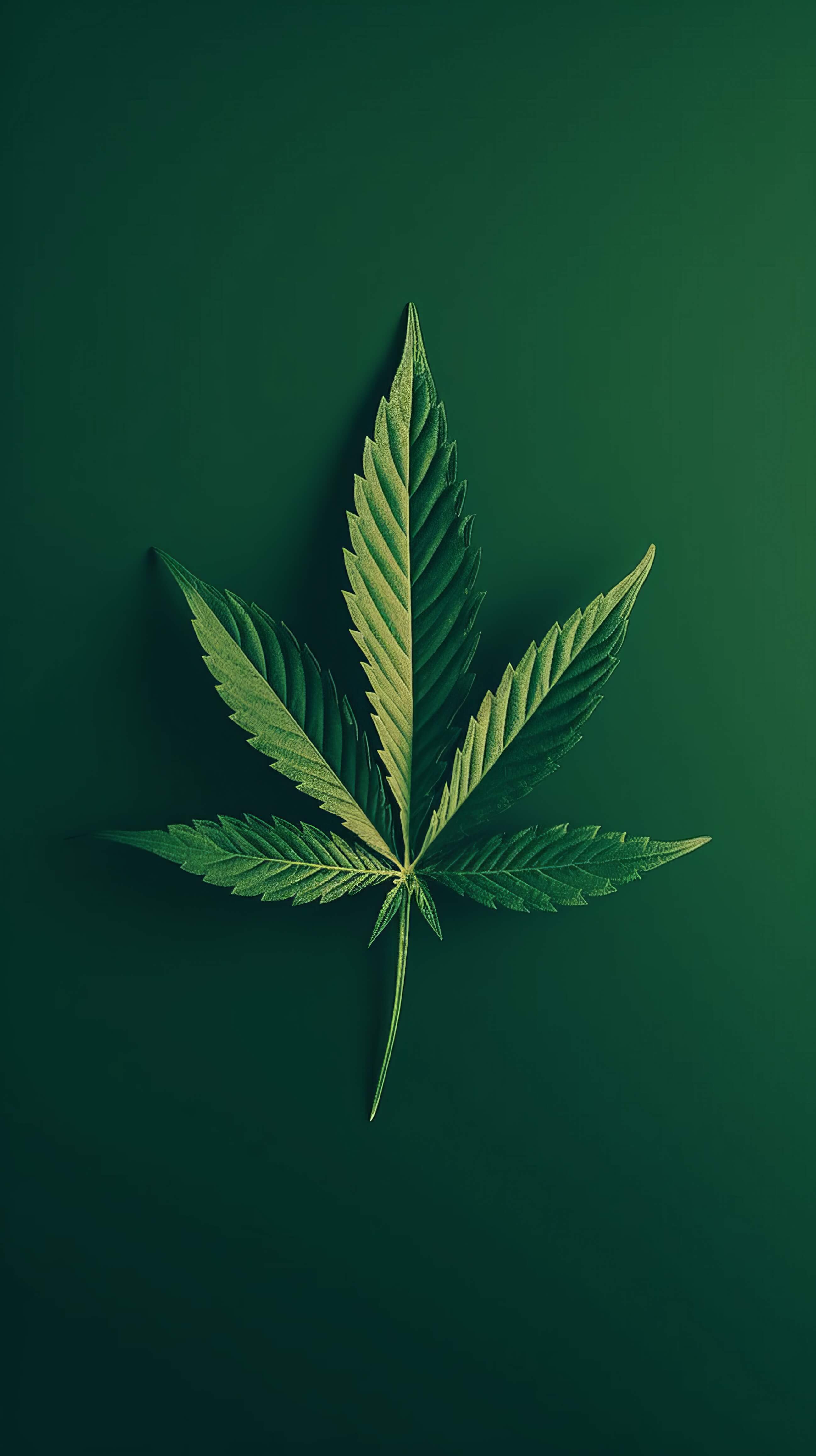 Wallpaper. Free Cannabis Image & Photo