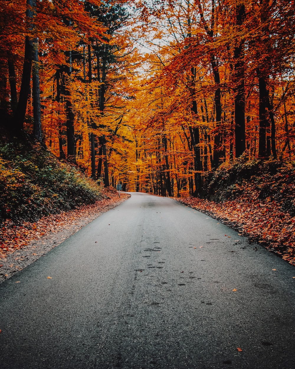 Autumn Wallpaper: Free HD Download [HQ]