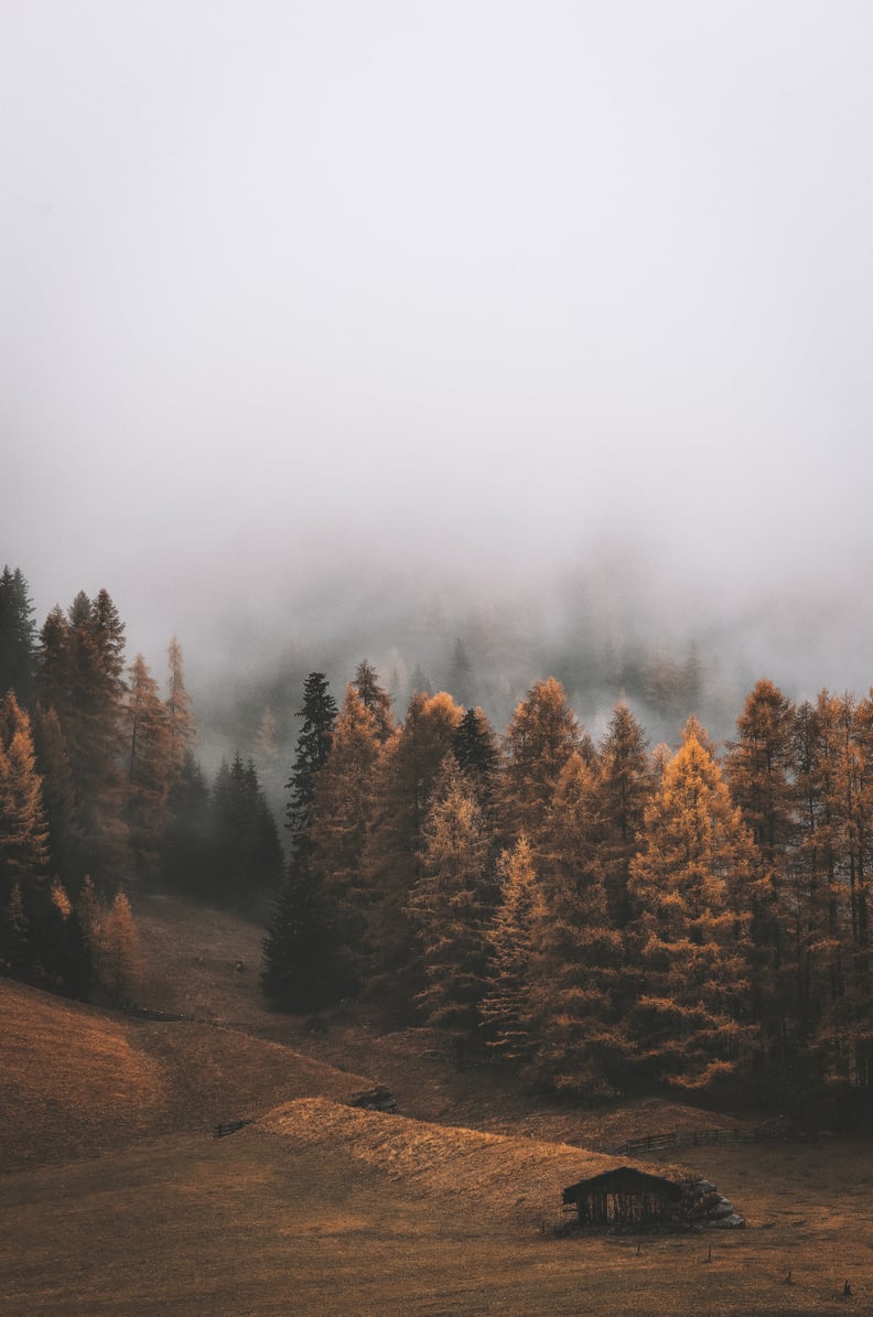 Fall iPhone Wallpaper