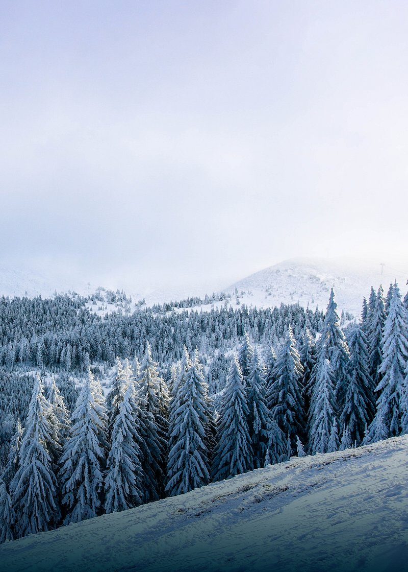 Snow background landscape christmas. AI. Free Photo Illustration